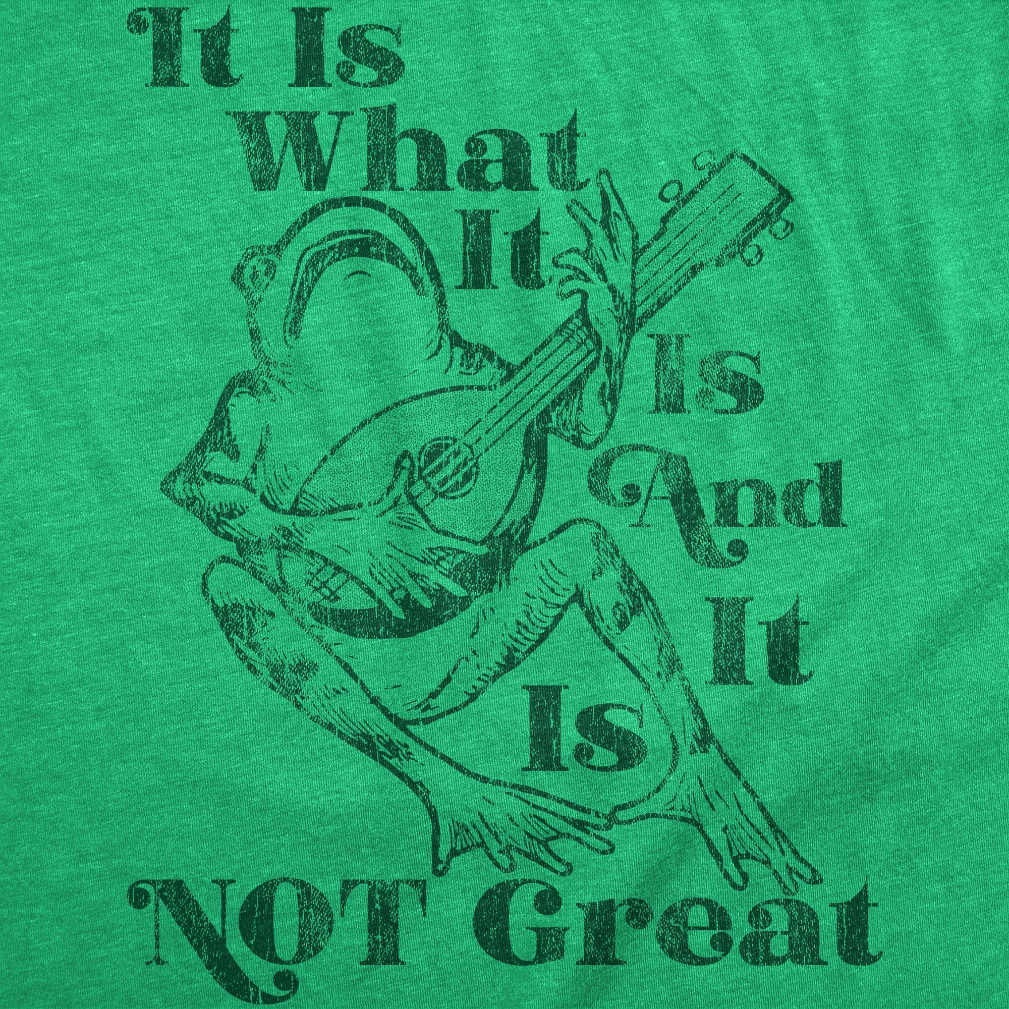 It Is What It Is And It Is Not Great Women's T Shirt