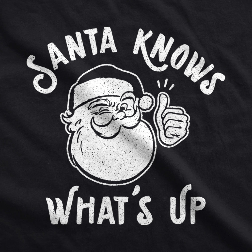 Santa Knows Whats Up Hoodie