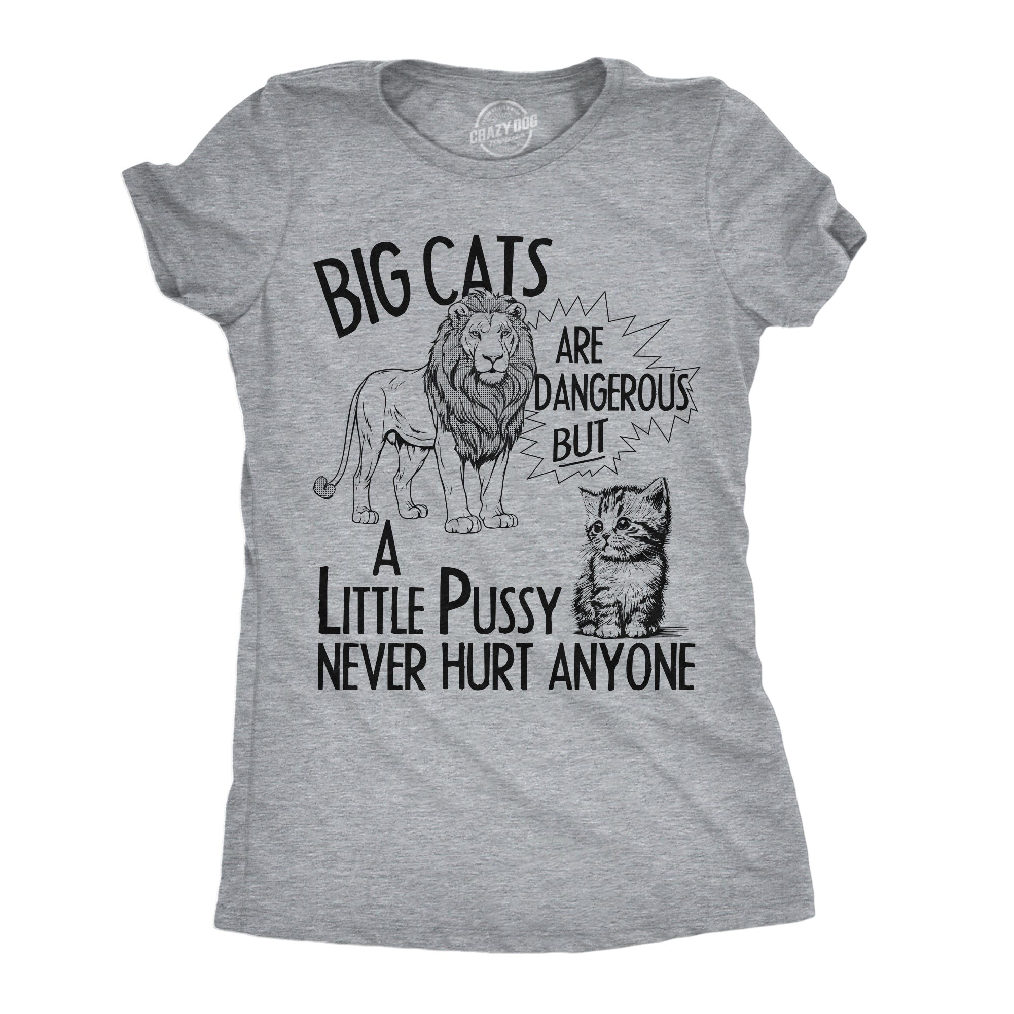 Big Cats Are Dangerous But A Little Pussy Never Hurt Anyone Women's T Shirt