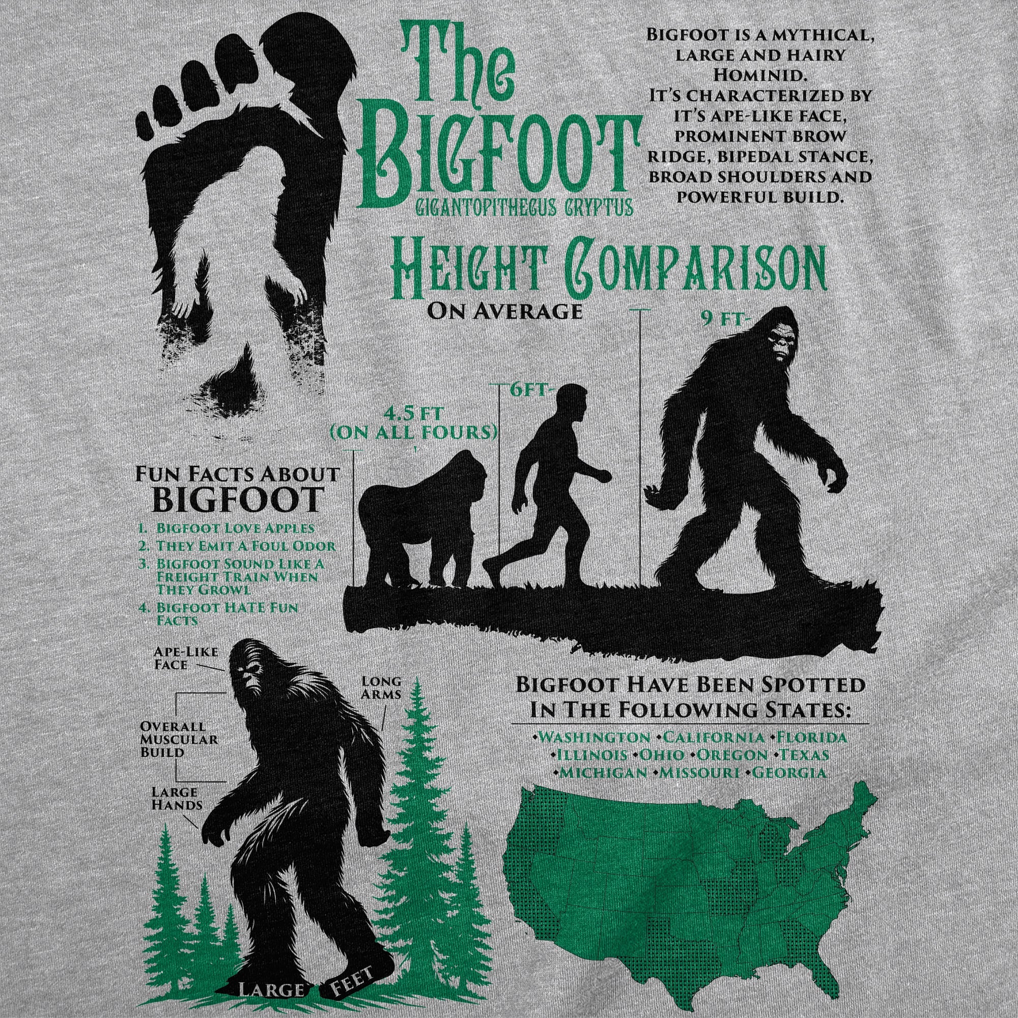 Bigfoot Facts Sheet Men's T Shirt