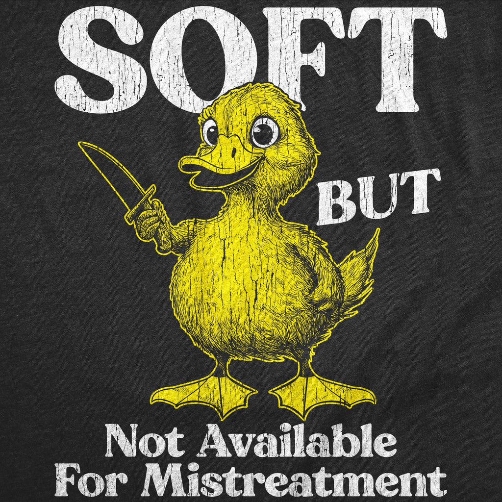 Soft But Not Available For Mistreatment Women's T Shirt