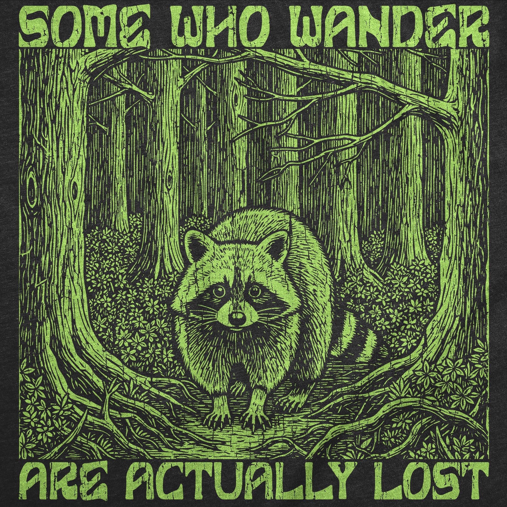 Some Who Wander Are Actually Lost Women's T Shirt