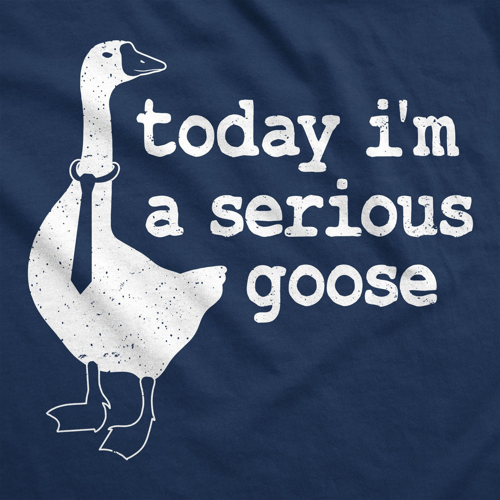 Today Im a Serious Goose Hoodie