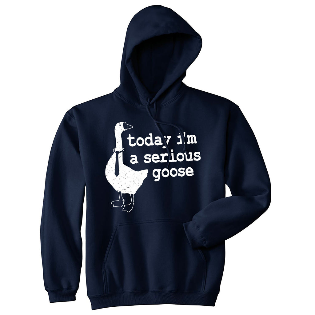 Today Im a Serious Goose Hoodie