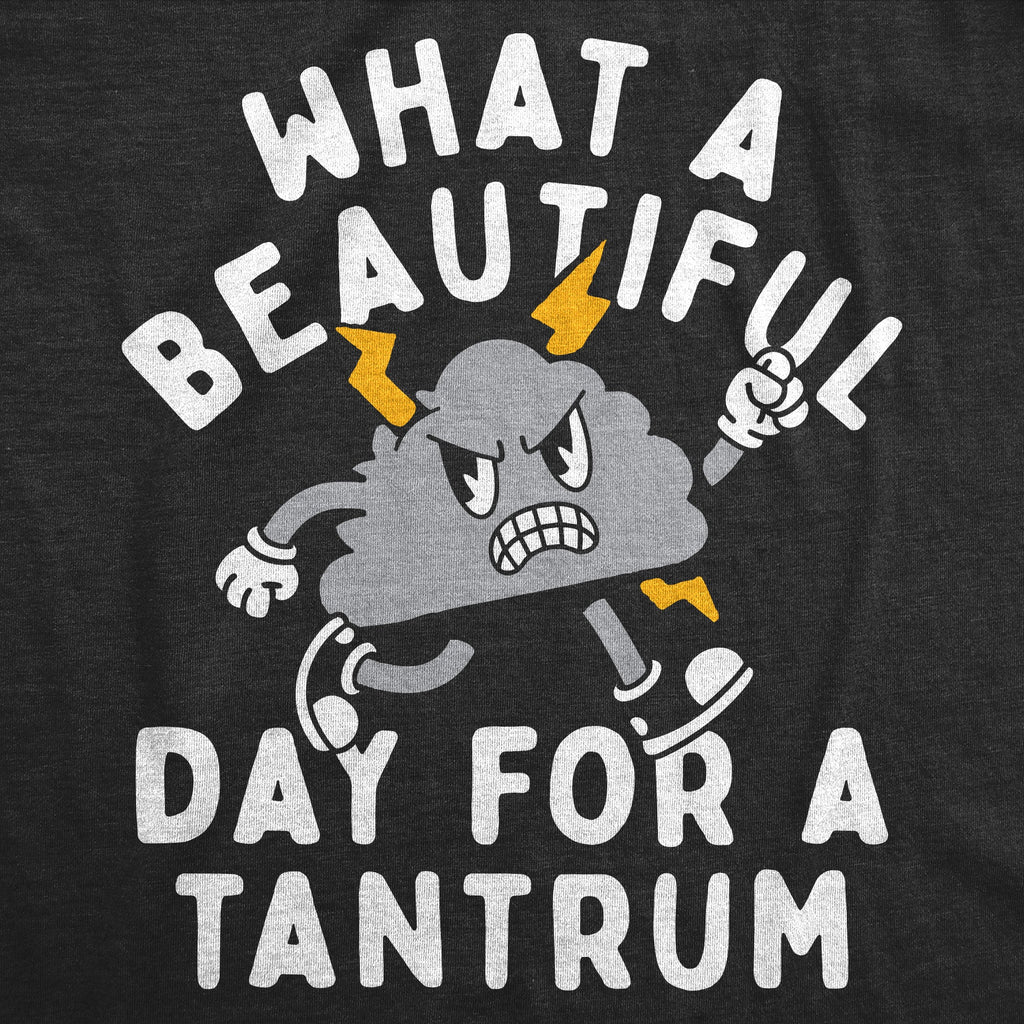 What A Beautiful Day For A Tantrum Toddler T Shirt