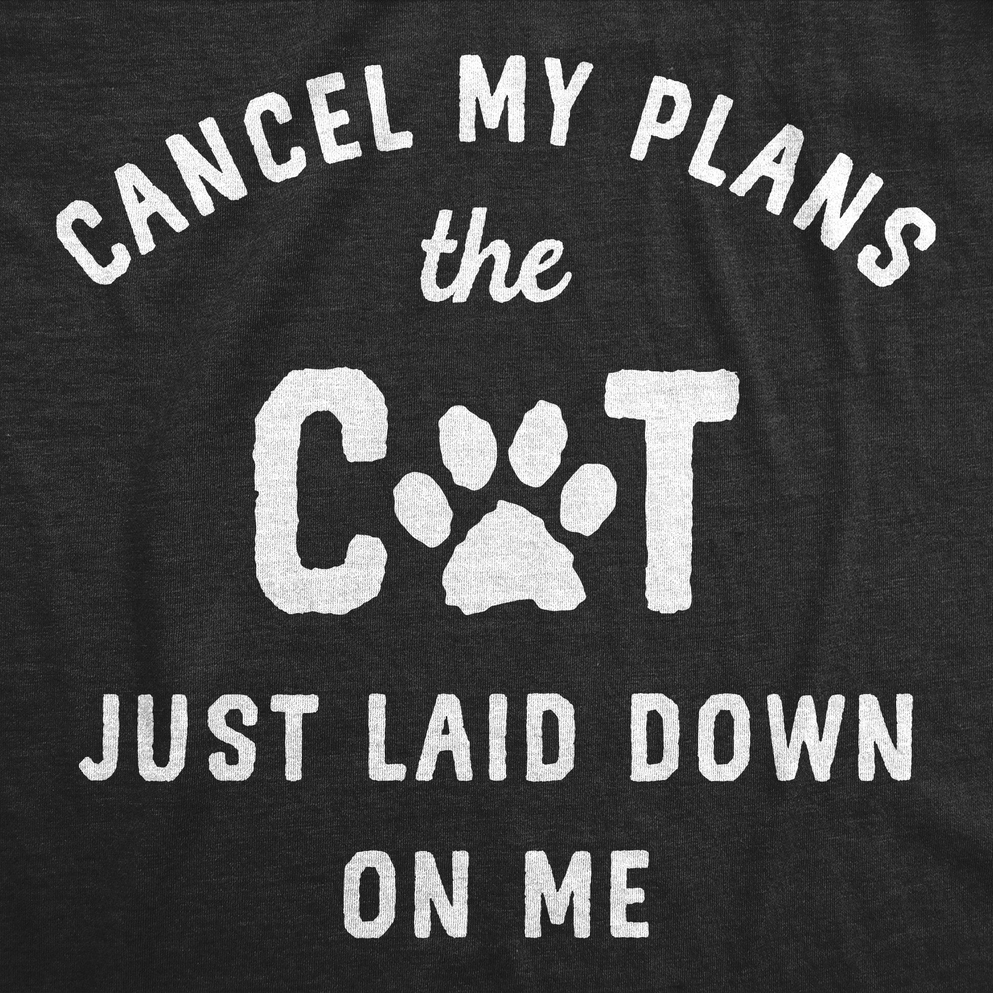 Cancel My Plans The Cat Just Laid Down On Me Men's T Shirt