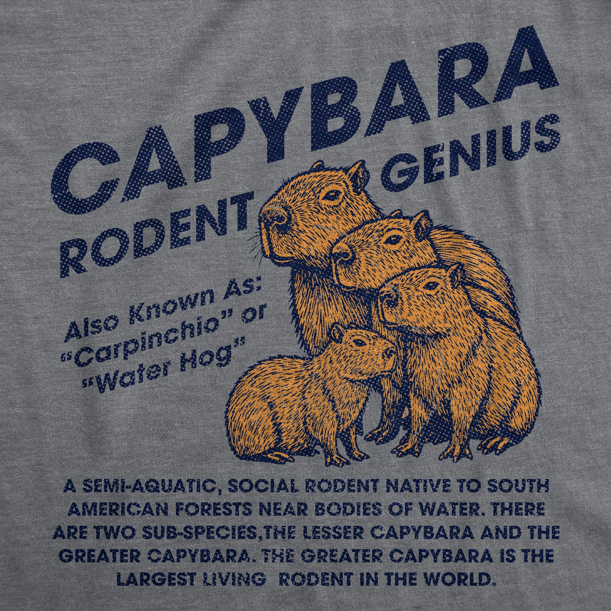 Capybara Rodent Genius Women's T Shirt