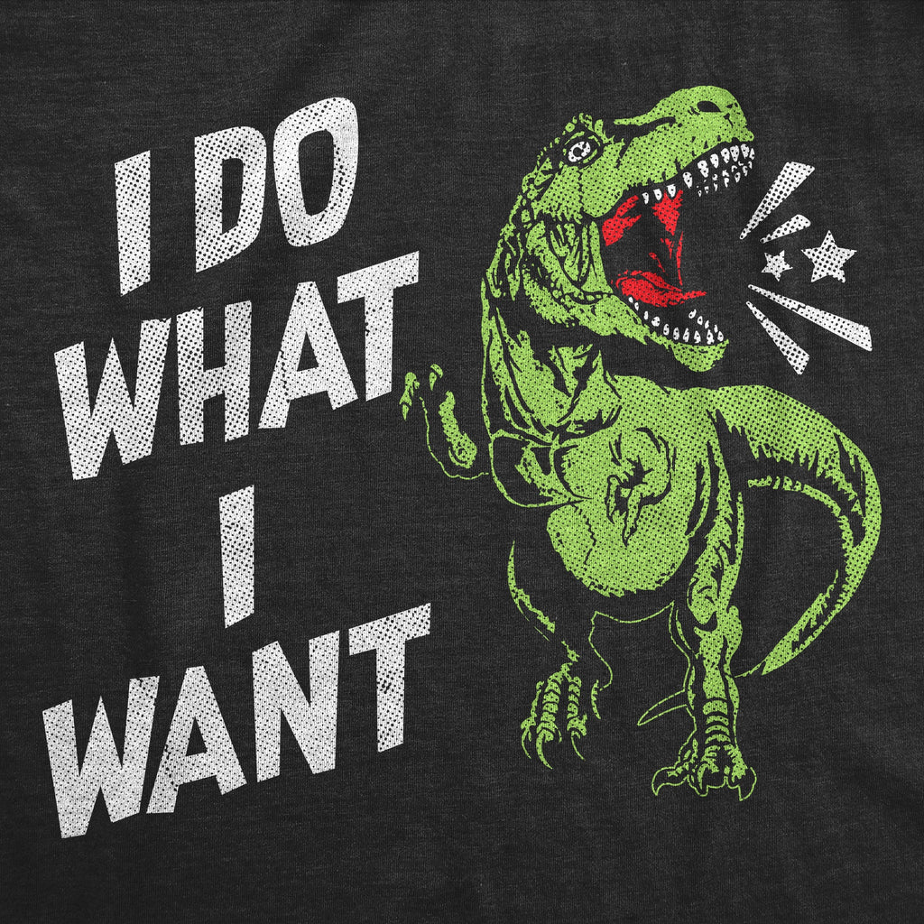 I Do What I Want Toddler T Shirt