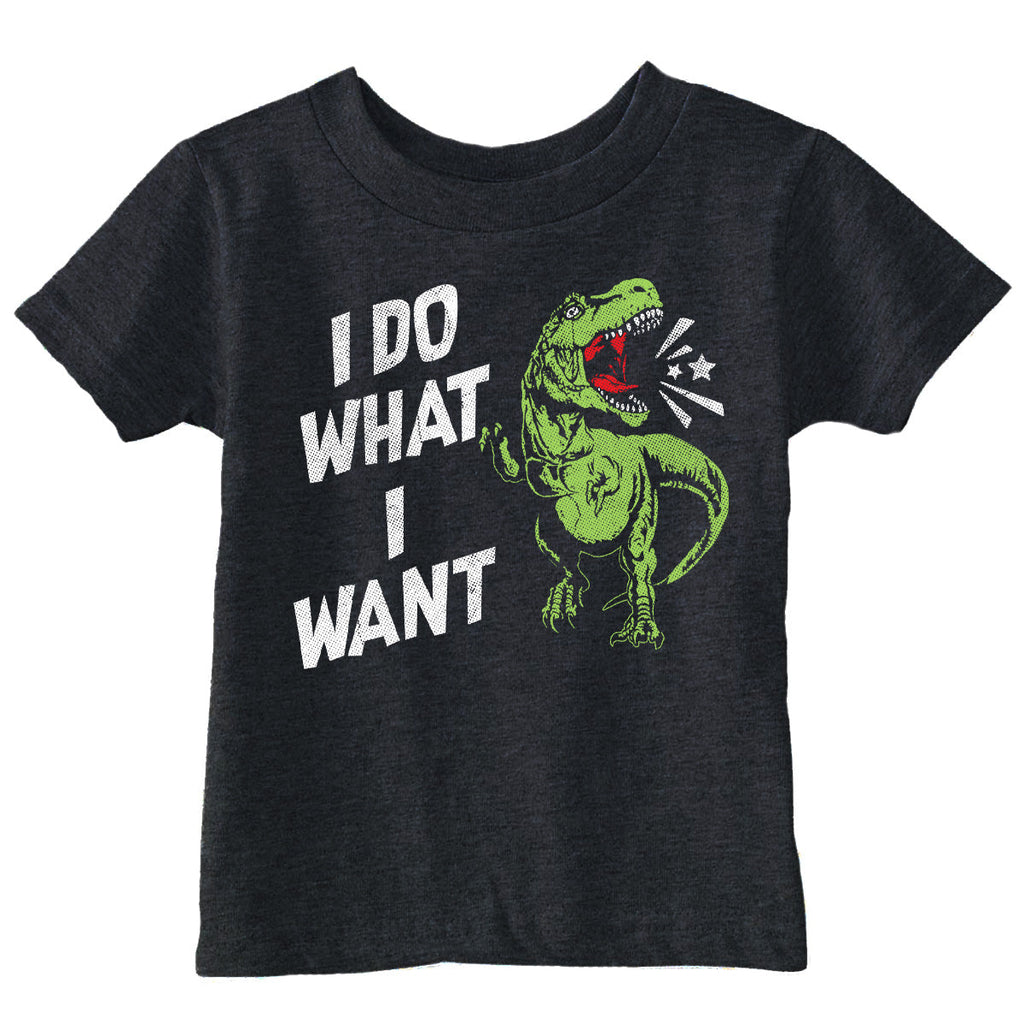 I Do What I Want Toddler T Shirt