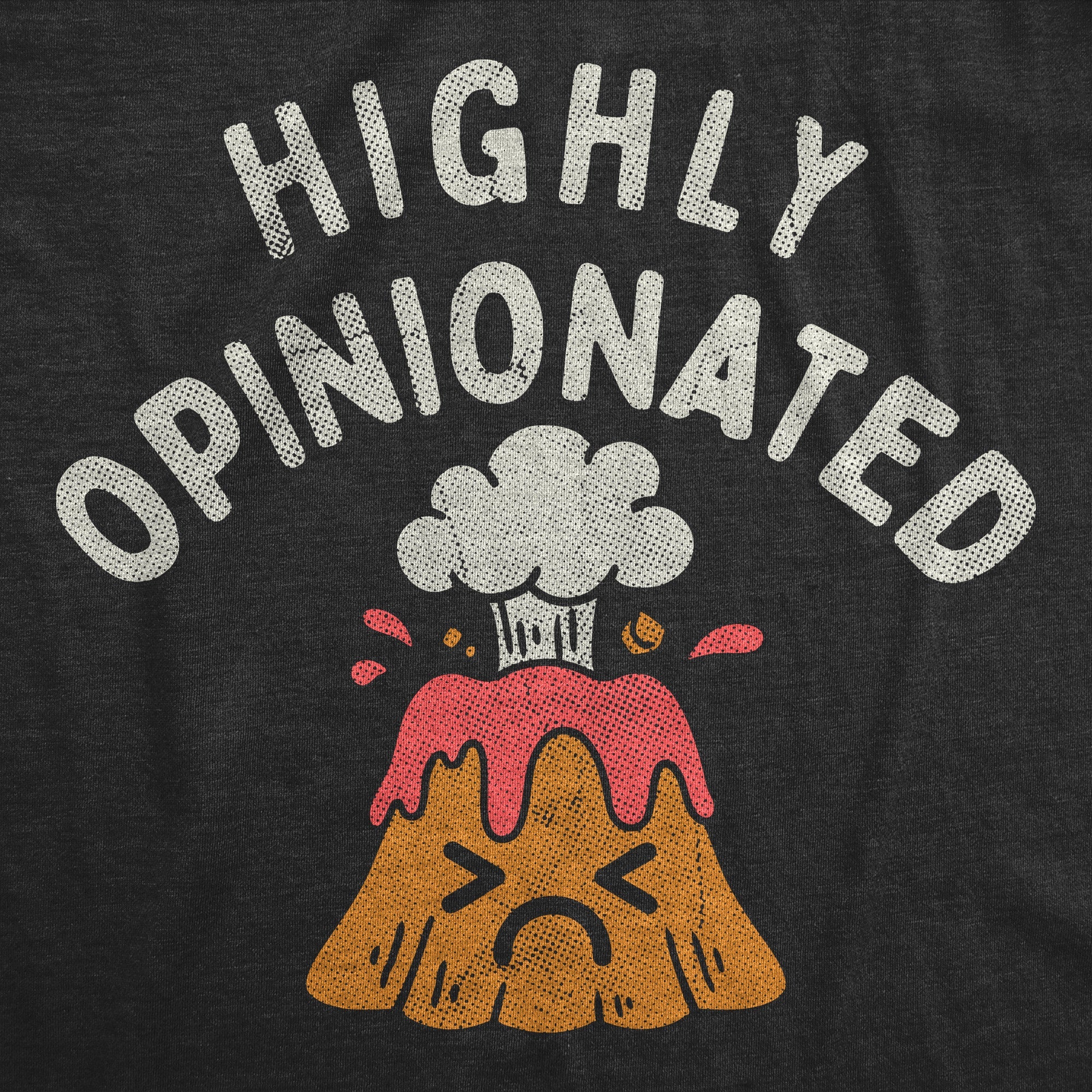 Highly Opinionated Toddler T Shirt