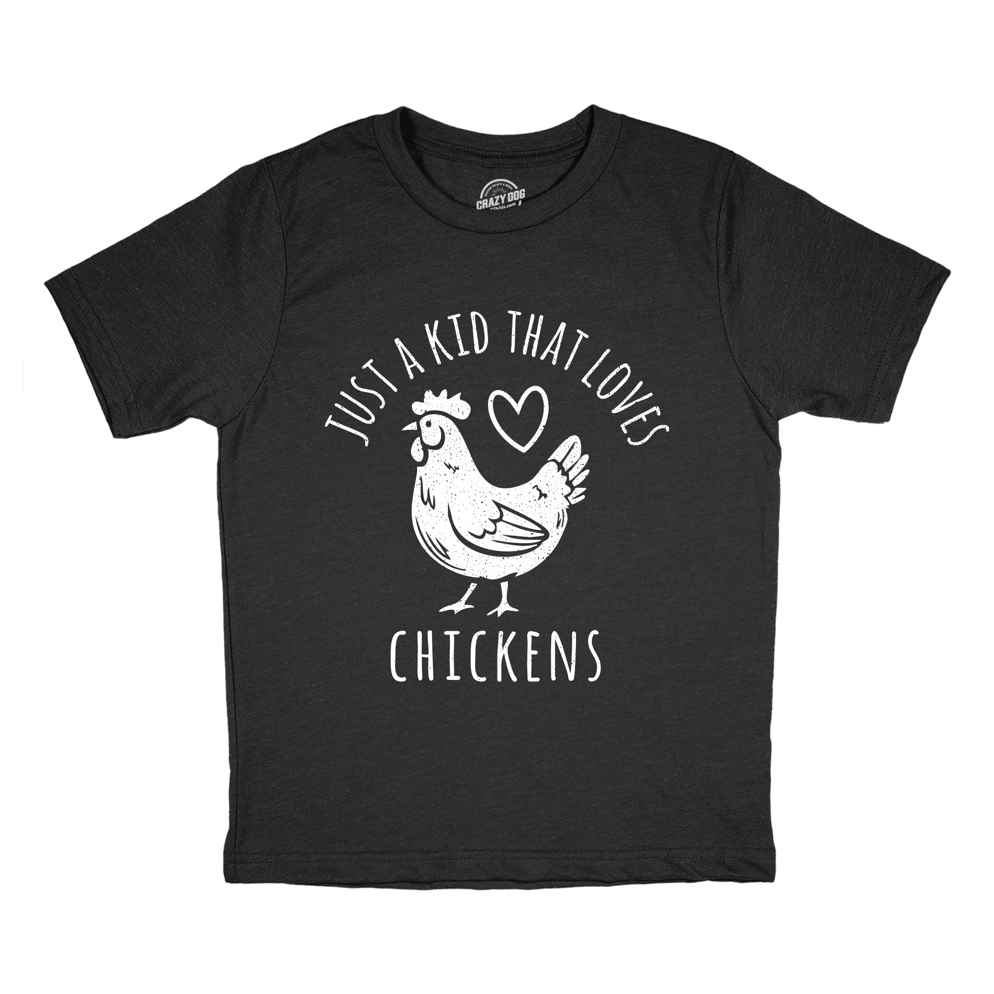 Just A Kid That Loves Chickens Youth T Shirt