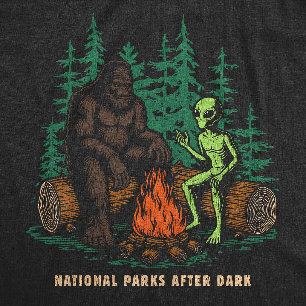 National Parks After Dark Women's T Shirt