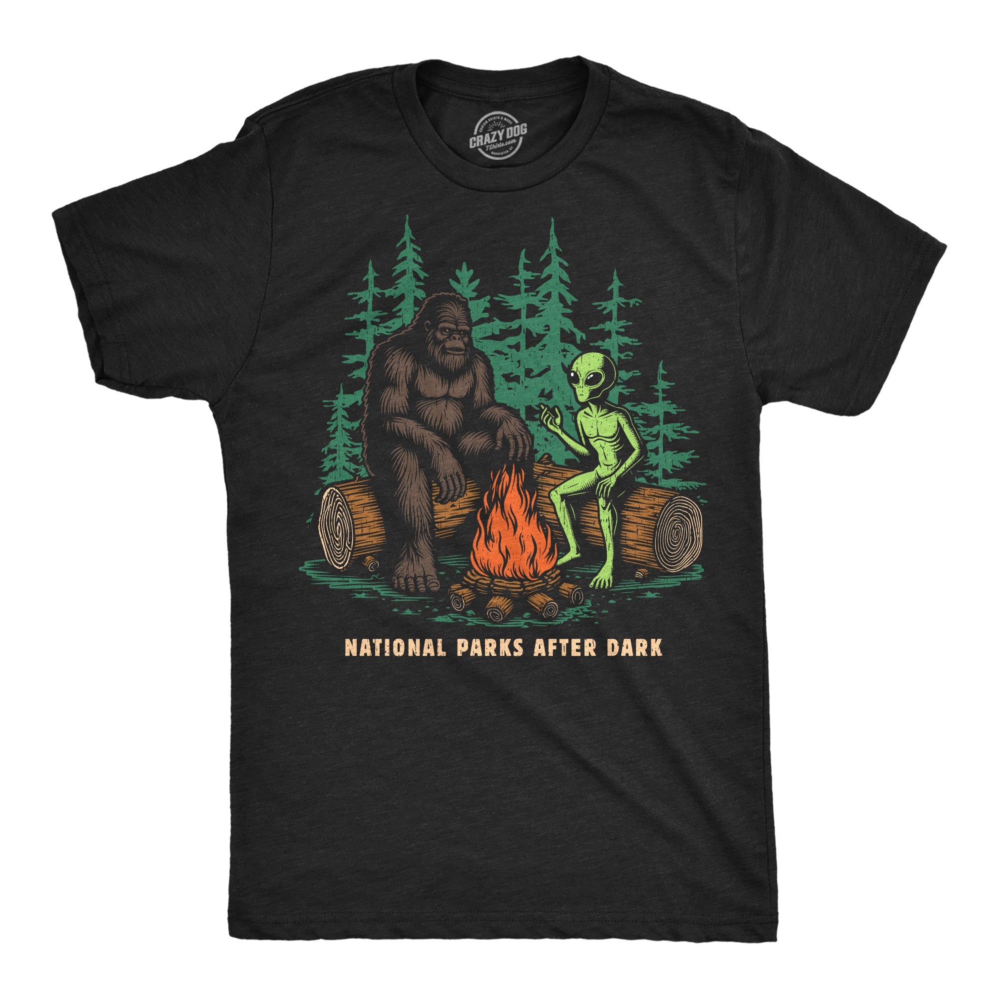National Parks After Dark Men's T Shirt