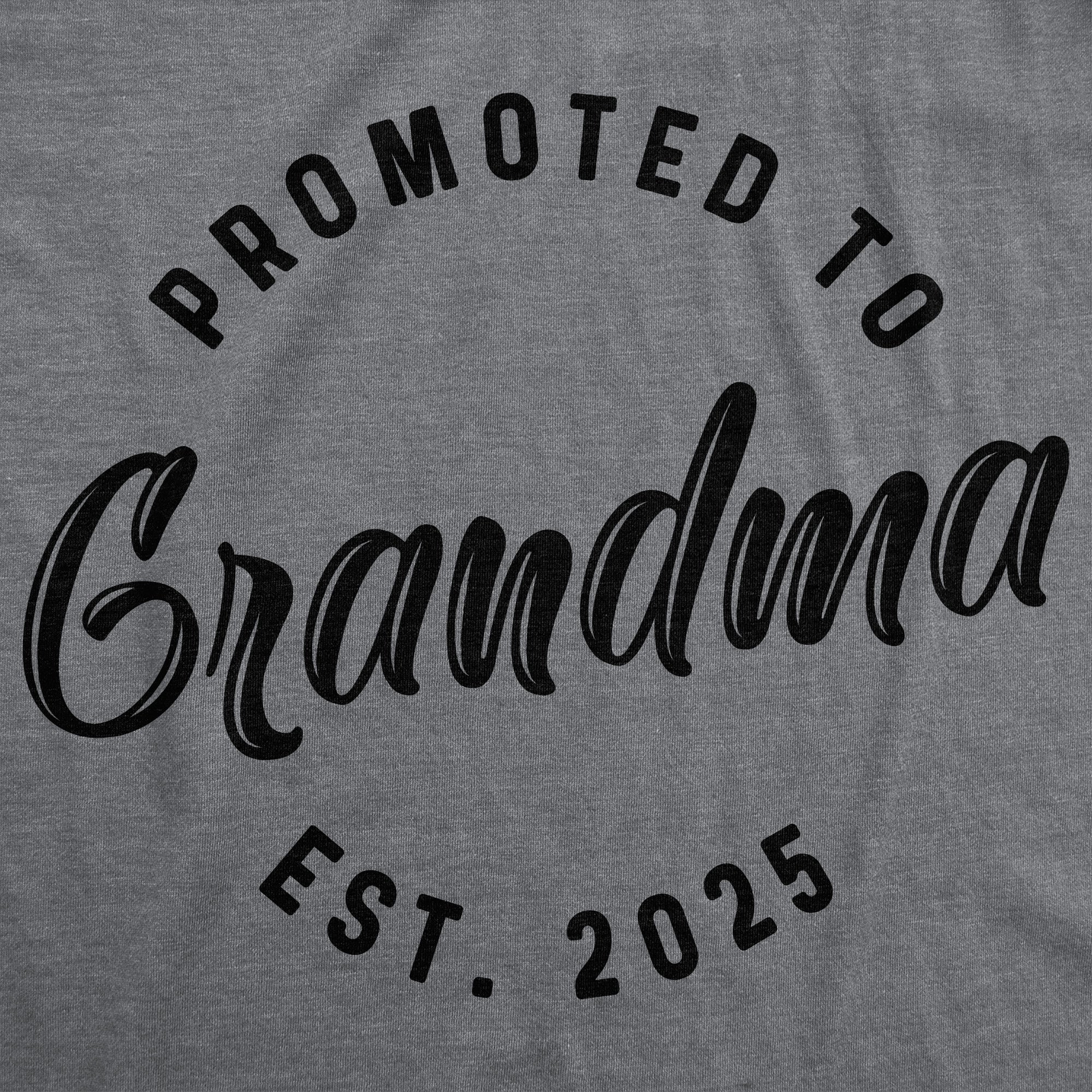 Promoted To Grandma 2025 Women's T Shirt
