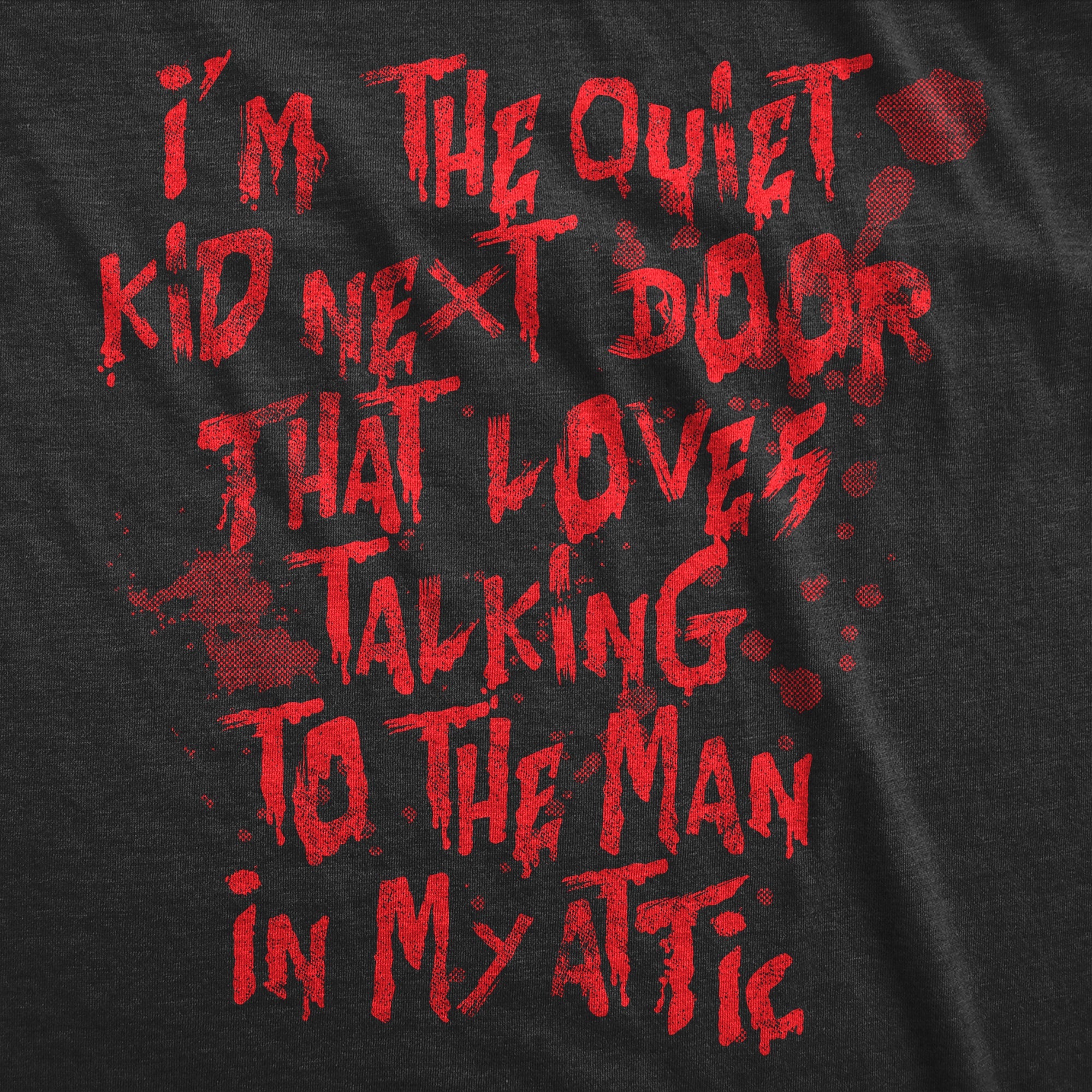 Im The Quiet Kid Next Door That Loves Talking To The Man In My Attic Youth T Shirt