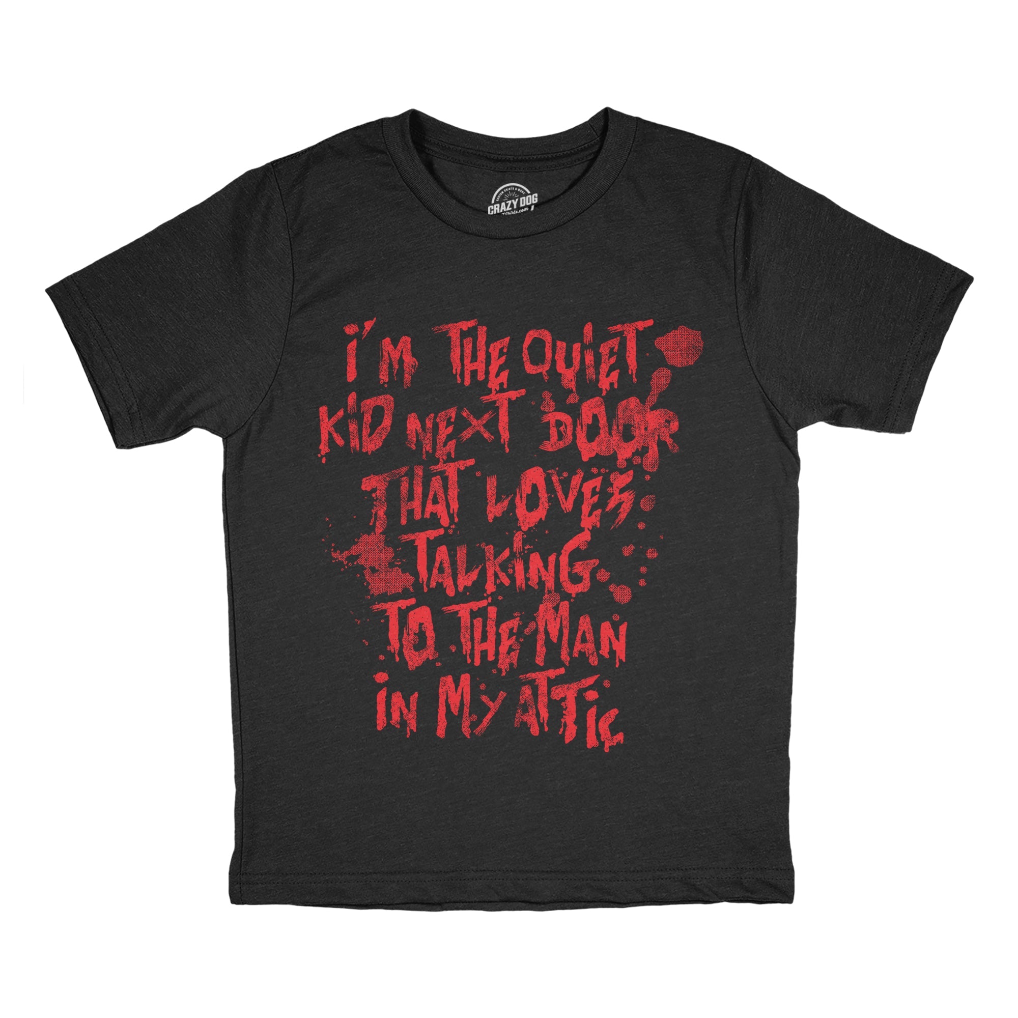 Im The Quiet Kid Next Door That Loves Talking To The Man In My Attic Youth T Shirt