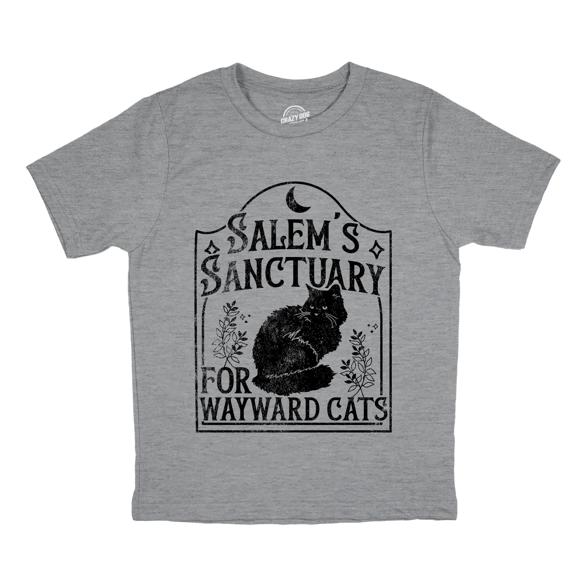 Salems Sanctuary for Wayward Cats Youth T Shirt