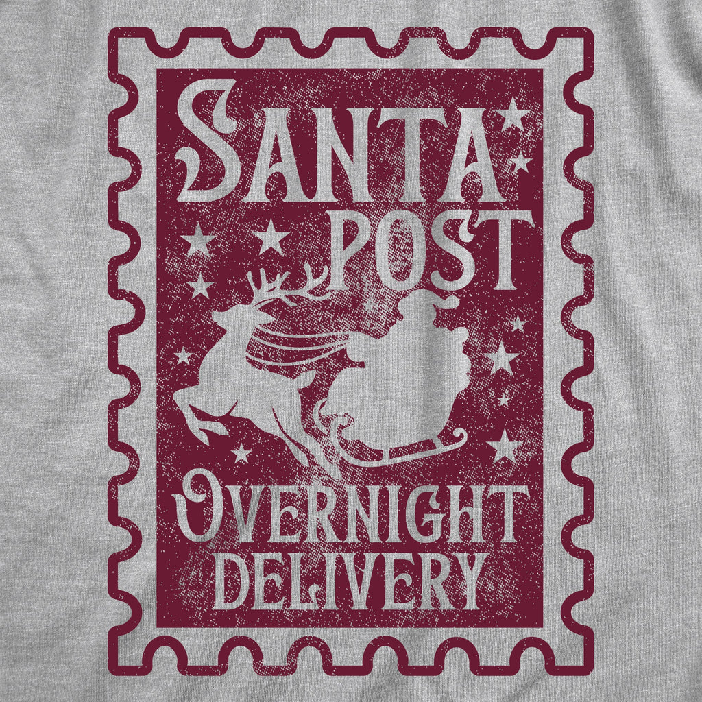 Santa Post Overnight Delivery Women's T Shirt