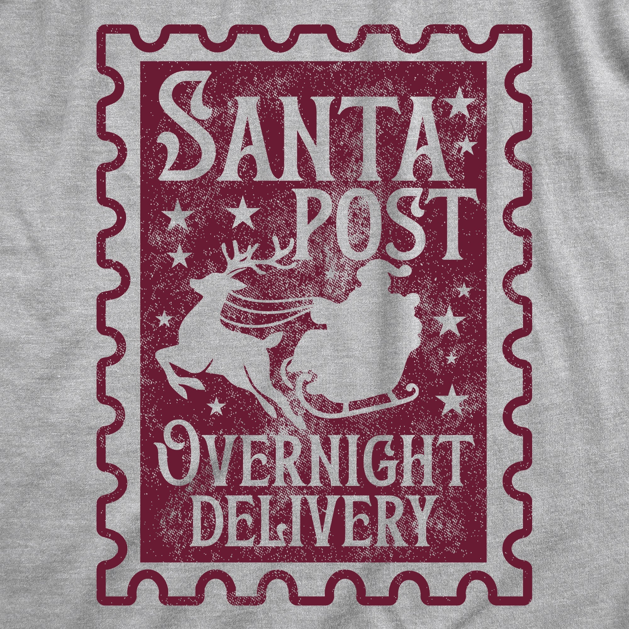 Santa Post Overnight Delivery Women's T Shirt