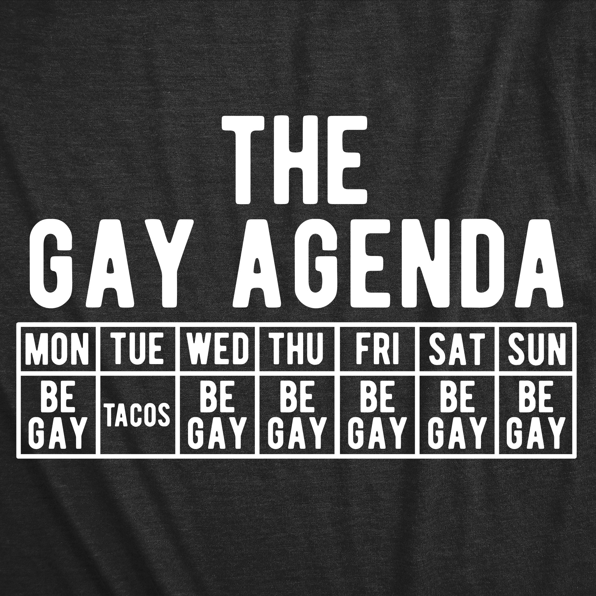 The Gay Agenda Women's T Shirt