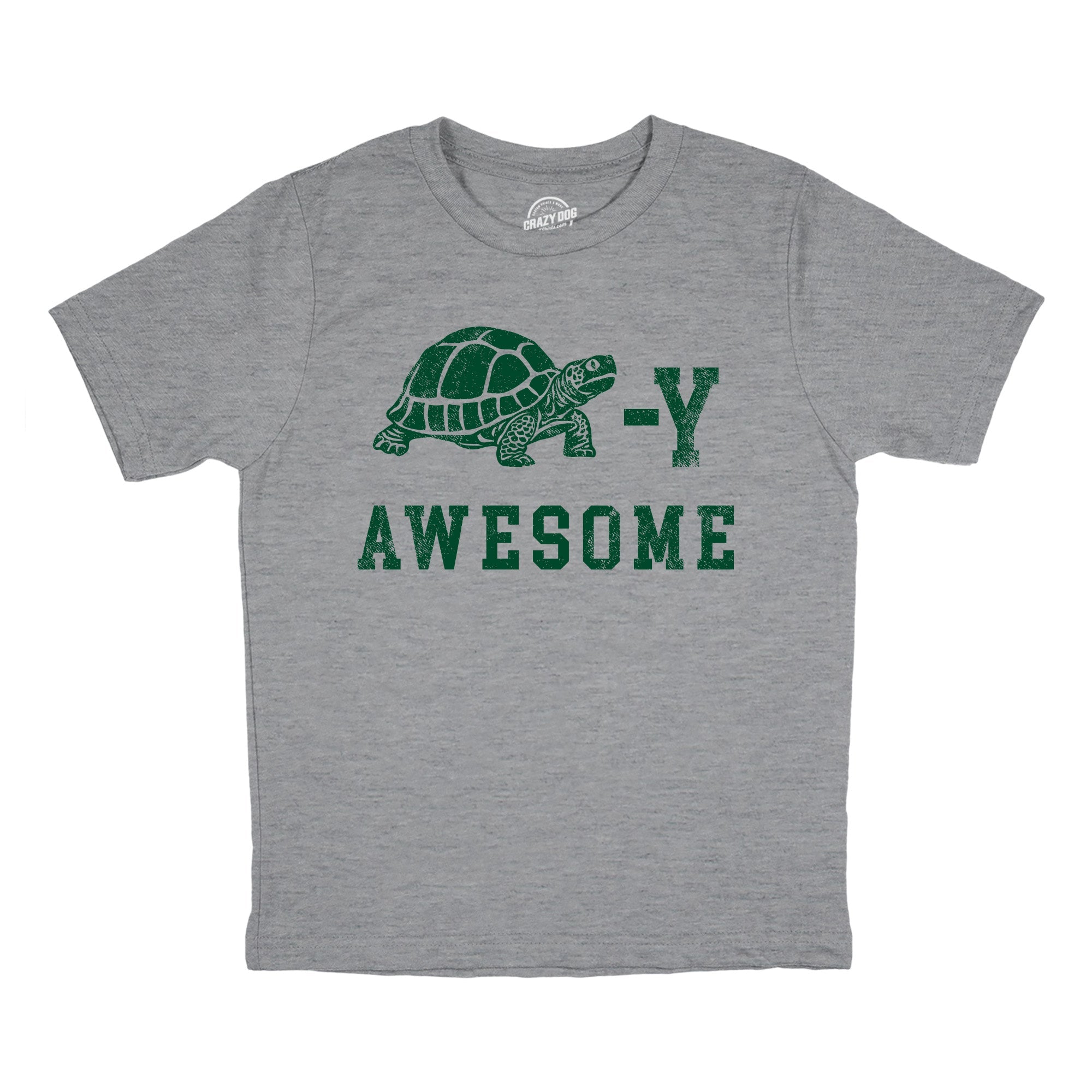 Turtley Awesome Youth T Shirt