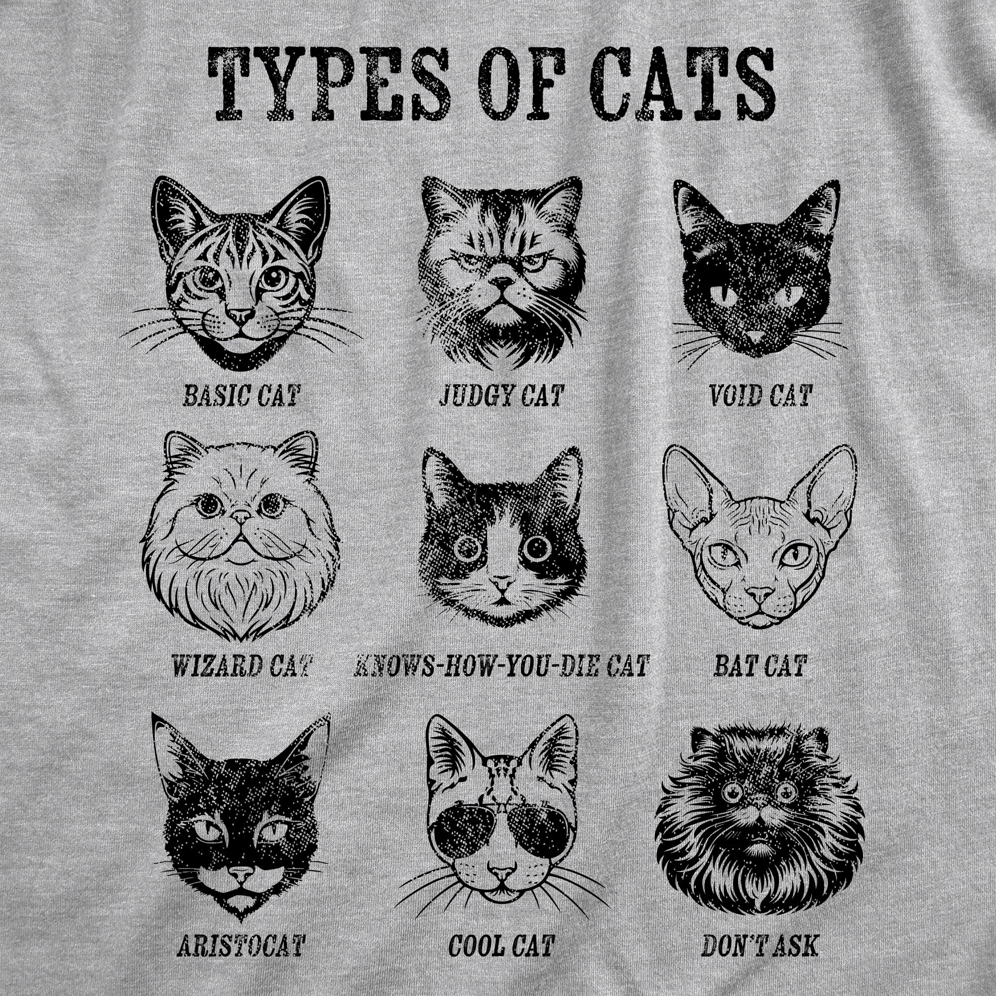 Types Of Cat List Men's T Shirt