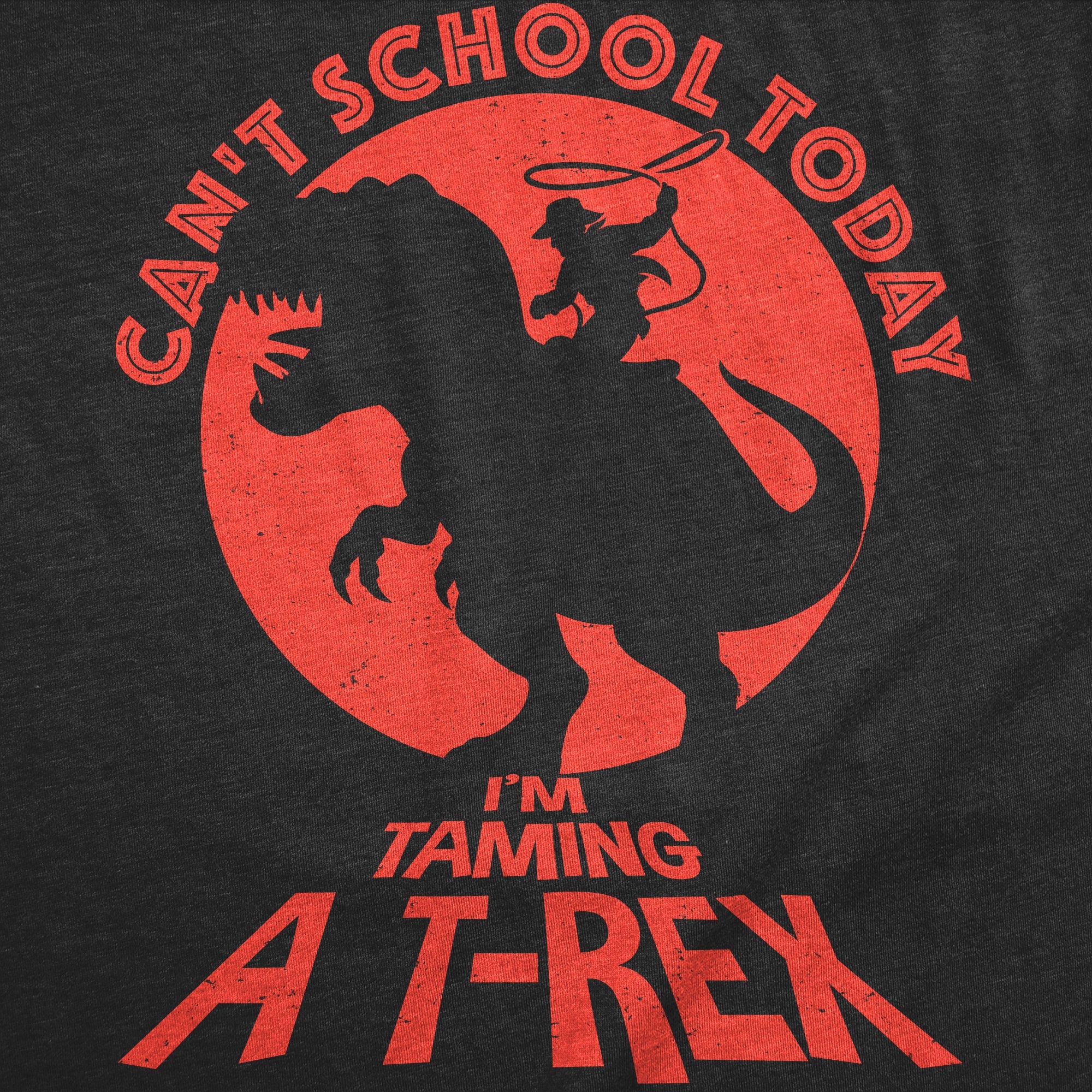 Cant School Today Im Taming A T Rex Youth T Shirt