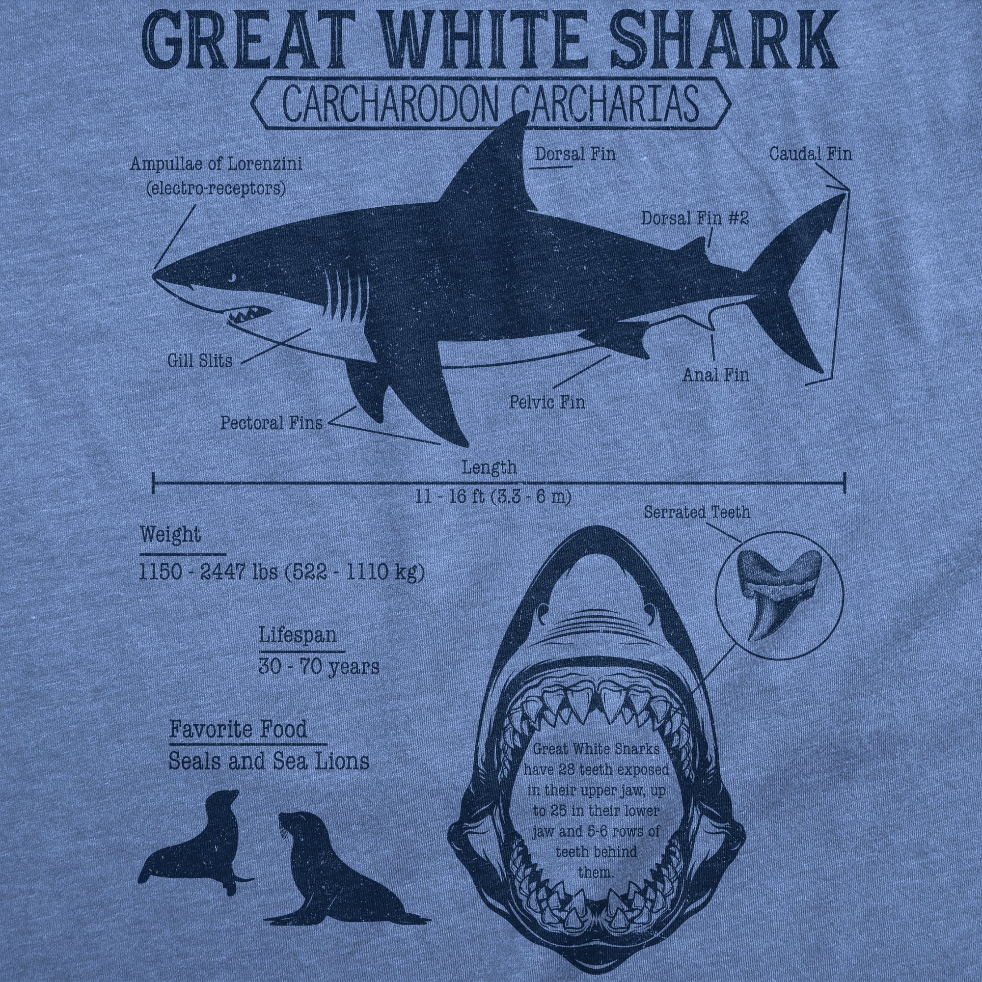 Great White Shark Infographic Men's T Shirt