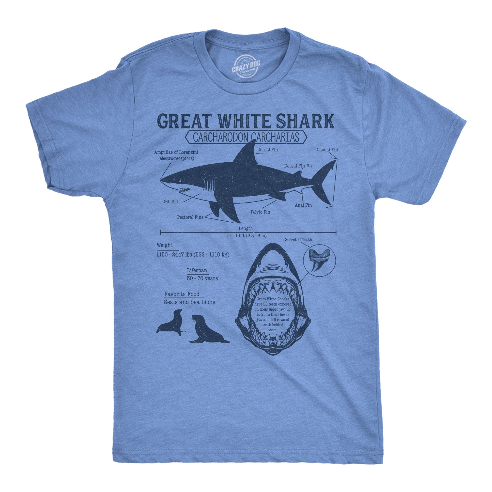 Great White Shark Infographic Men's T Shirt