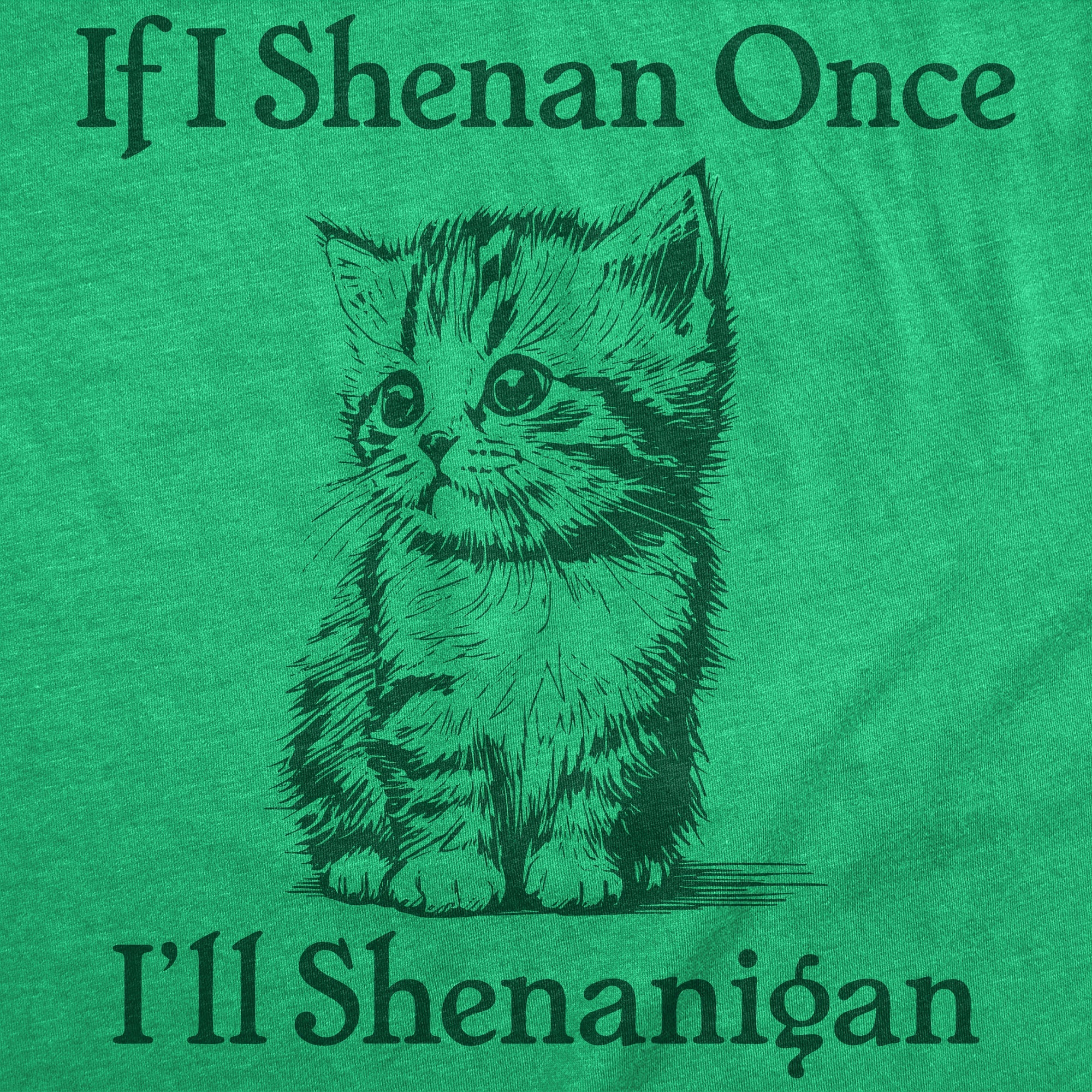 If I Shenan Once Ill Shenangian Youth T Shirt