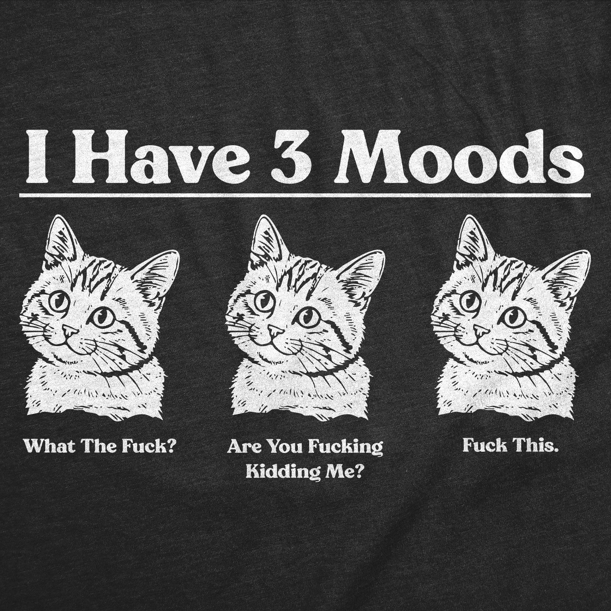 I Have Three Moods What The Fuck Are You Fucking Kidding Me Fuck This Men's T Shirt