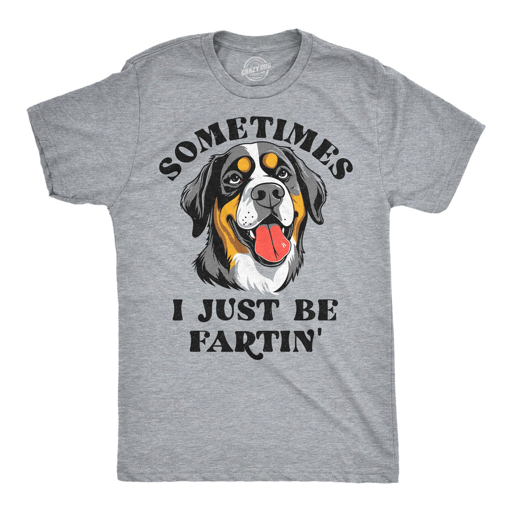 Sometimes I Just Be Fartin Men's T Shirt