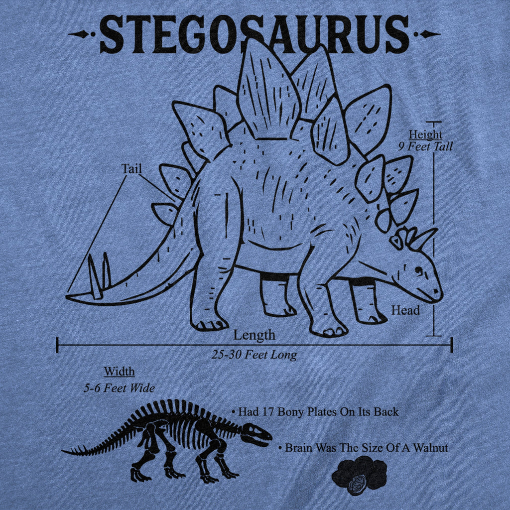 Stegosaurus Infographic Men's T Shirt