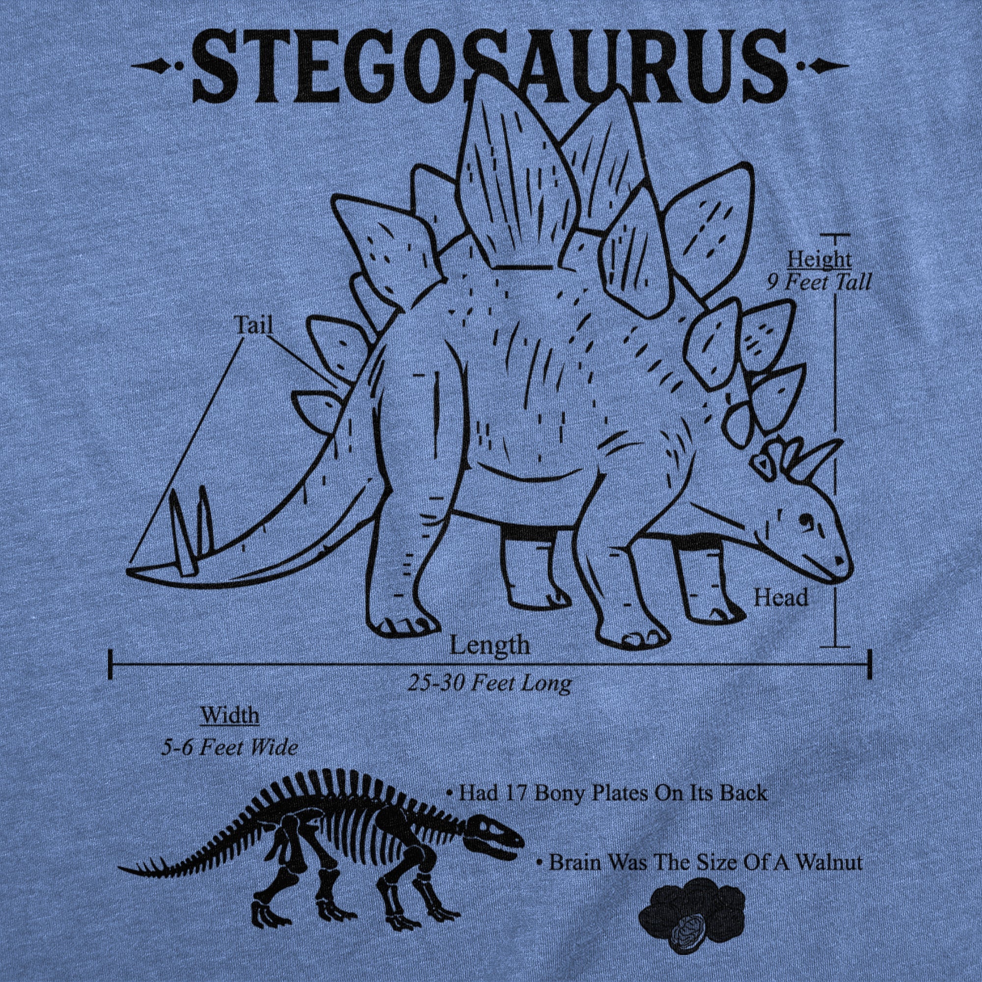 Stegosaurus Infographic Men's T Shirt
