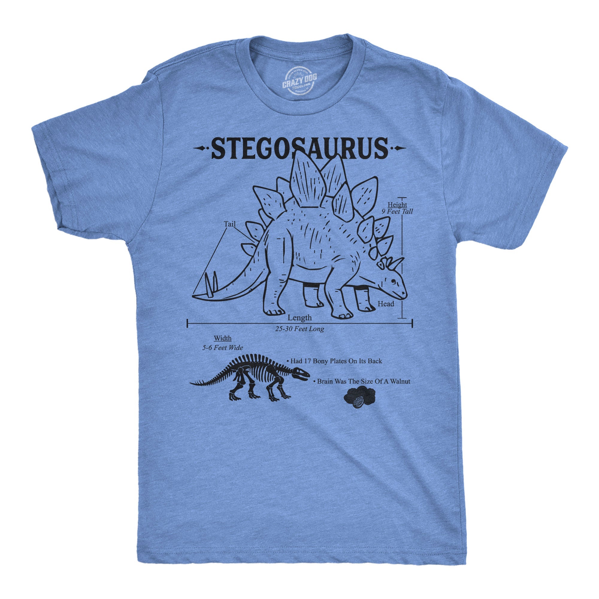Stegosaurus Infographic Men's T Shirt