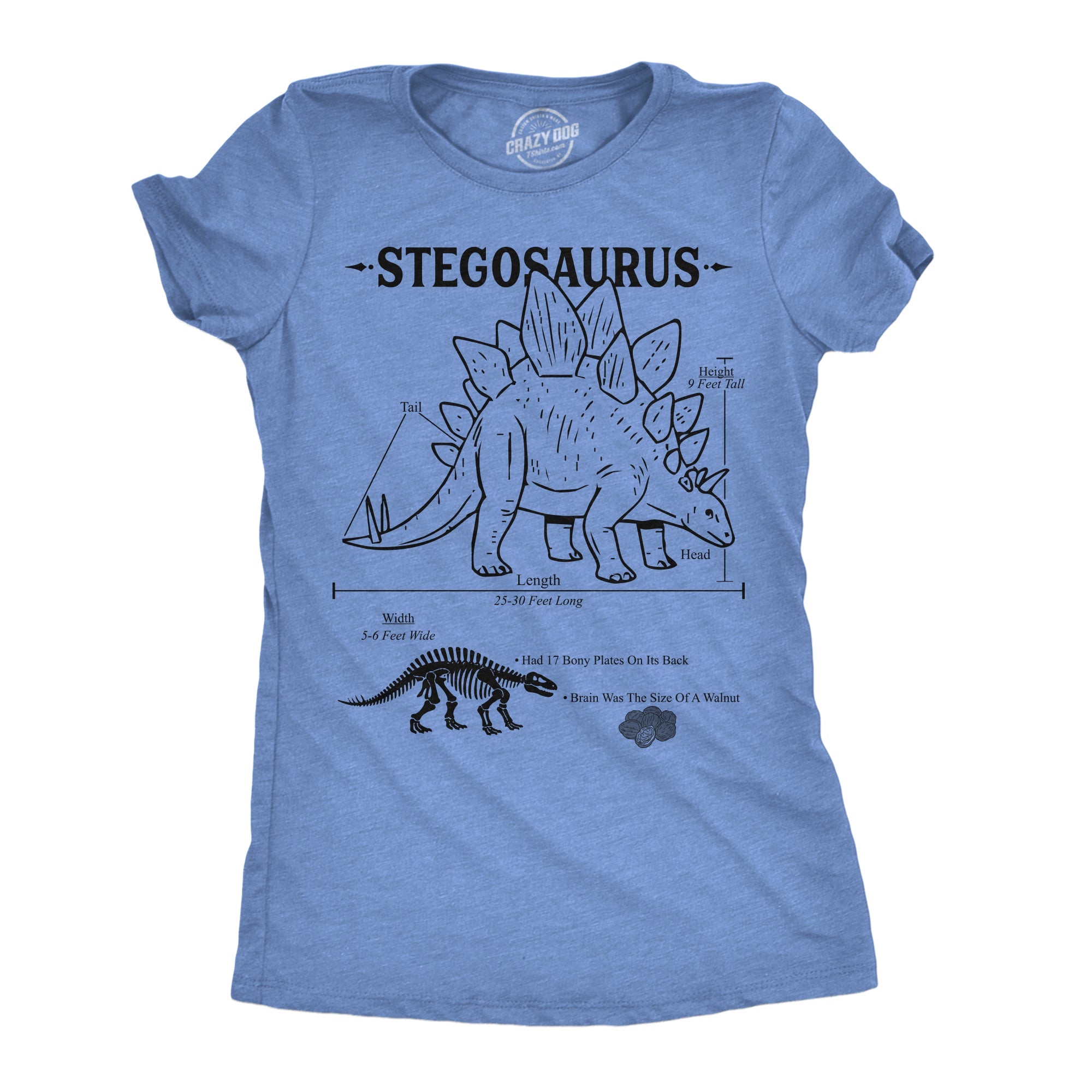 Stegosaurus Infographic Women's T Shirt