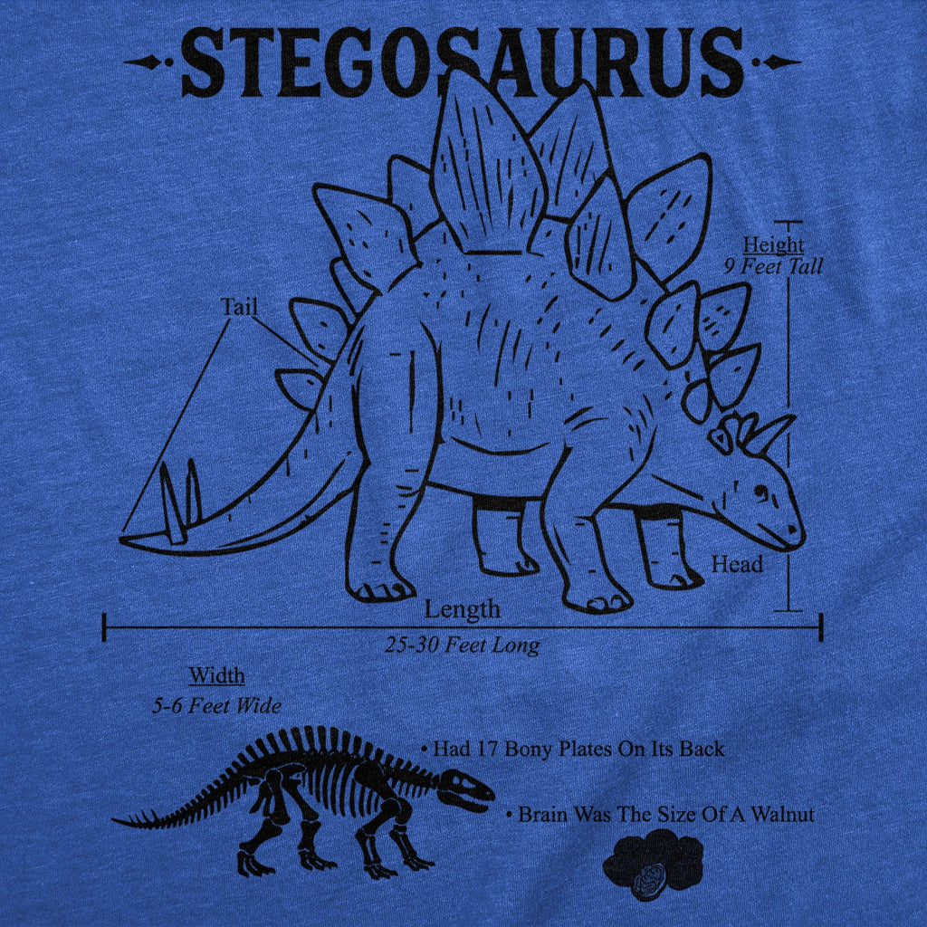 Stegosaurus Infographic Youth T Shirt