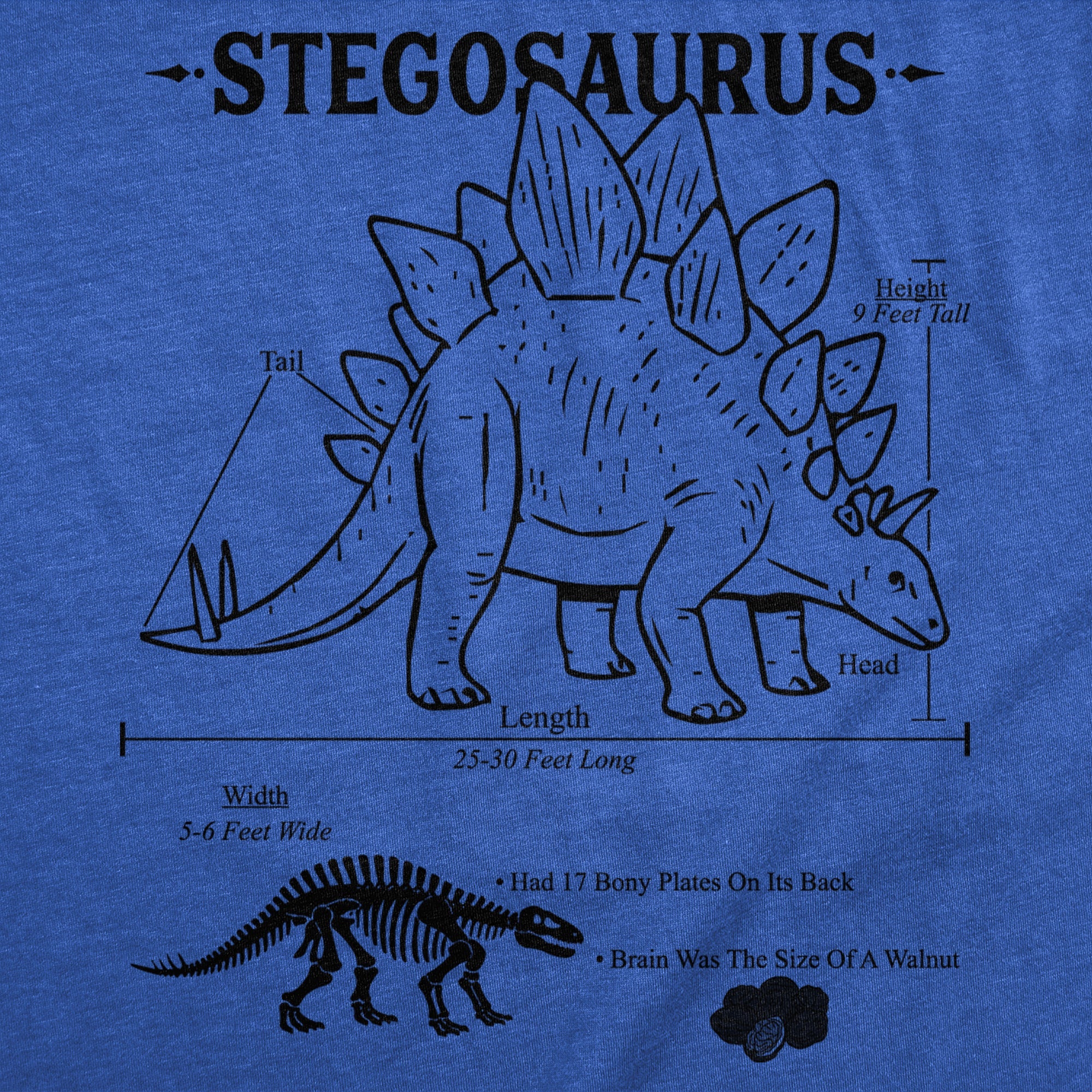Stegosaurus Infographic Youth T Shirt