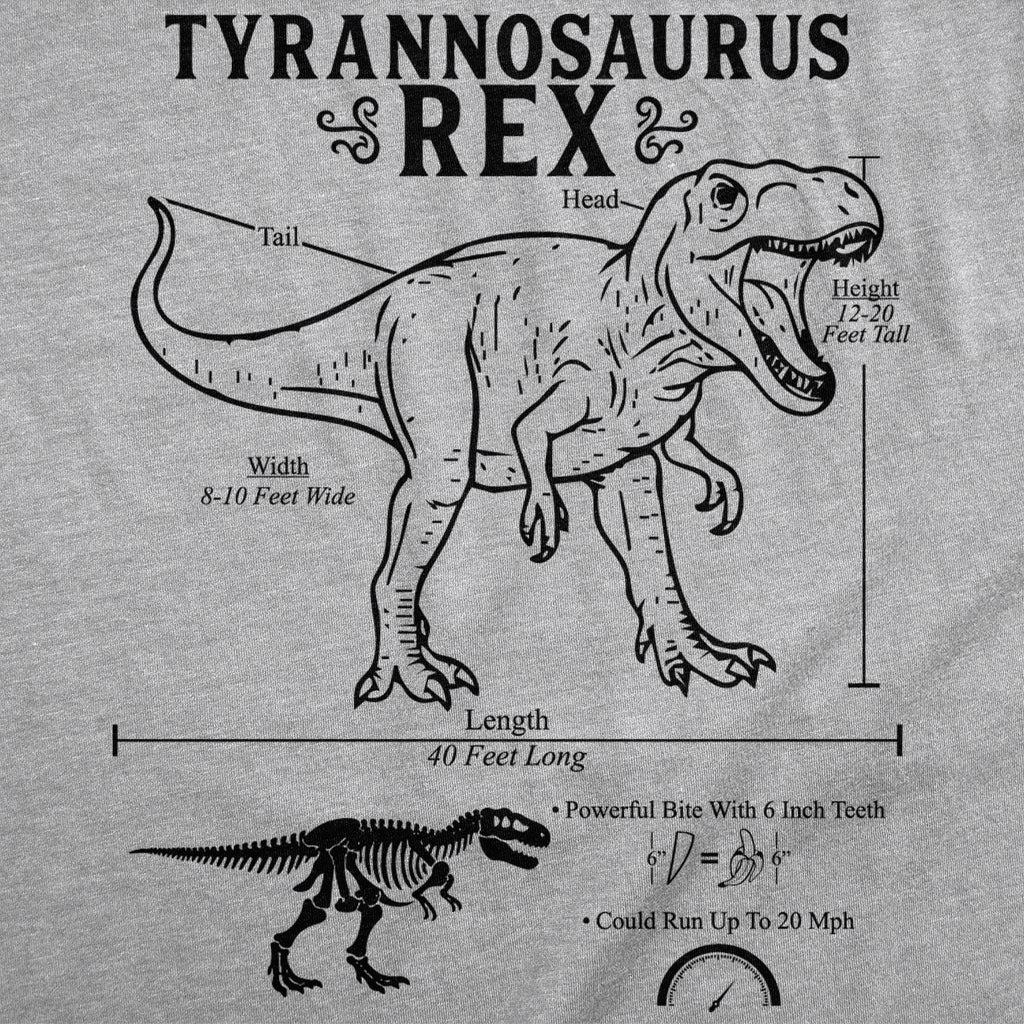 Tyrannosaurus Rex Infographic Women's T Shirt