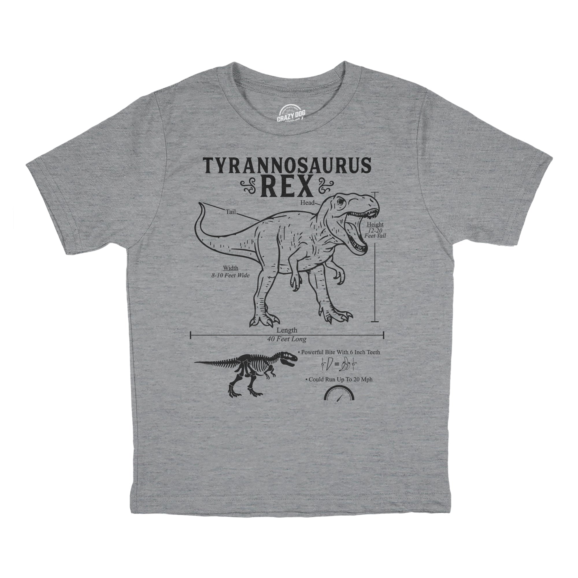 Tyrannosaurus Rex Infographic Youth T Shirt