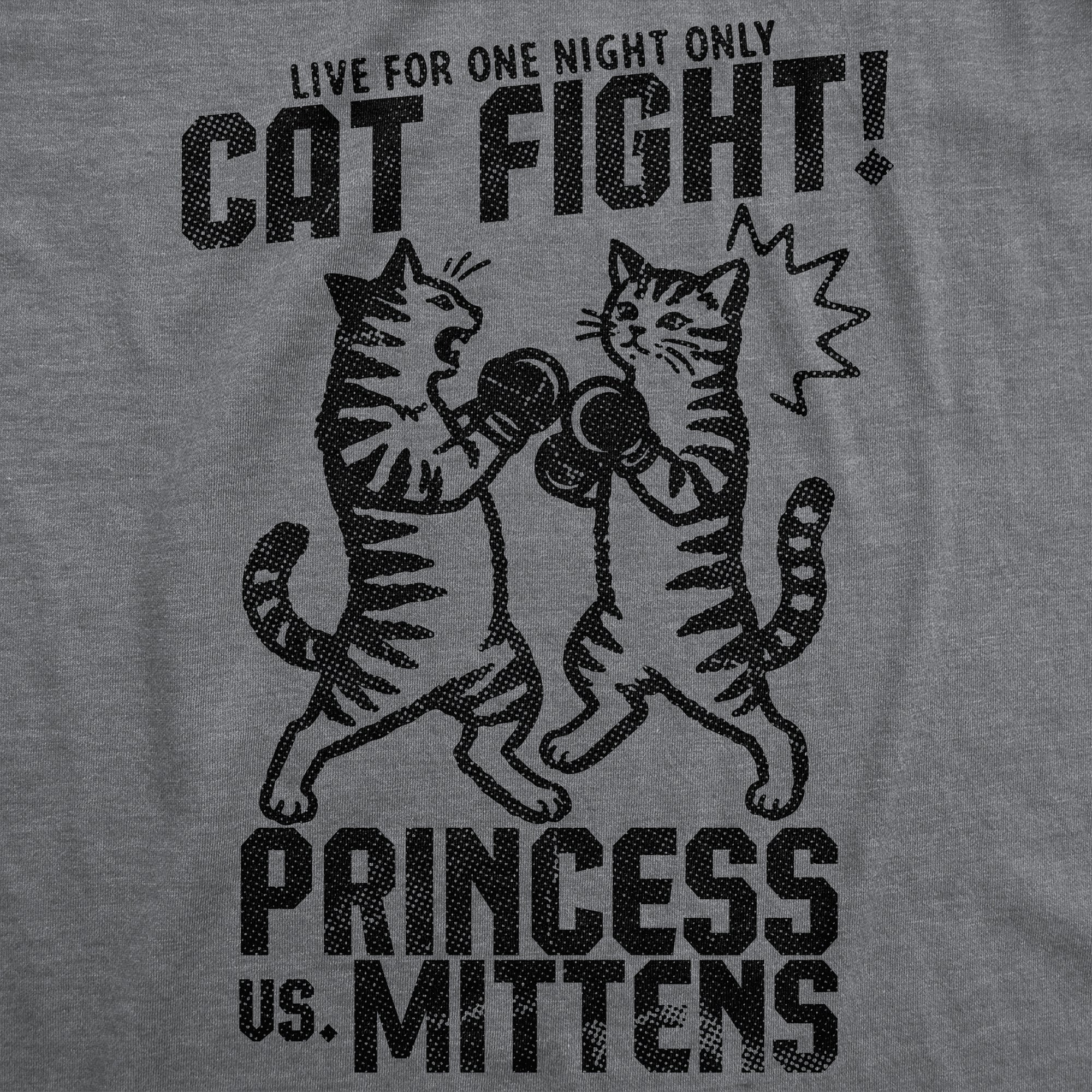 Cat Fight Princess Vs Mittens Men's T Shirt