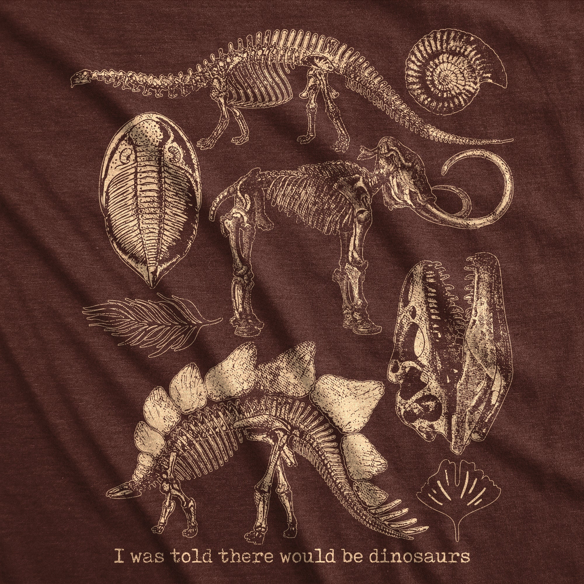 I Was Told There Would Be Dinosaurs Men's T Shirt