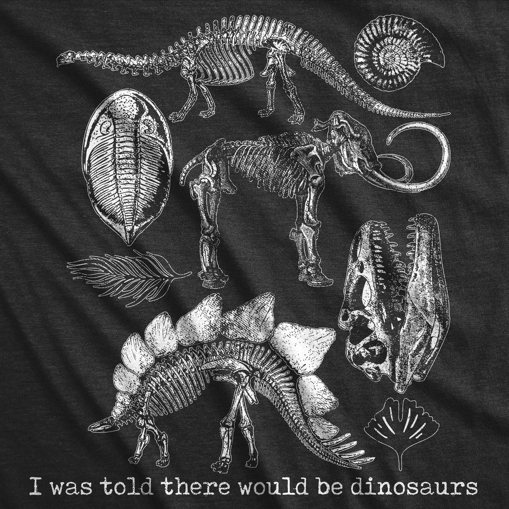 I Was Told There Would Be Dinosaurs Toddler T Shirt