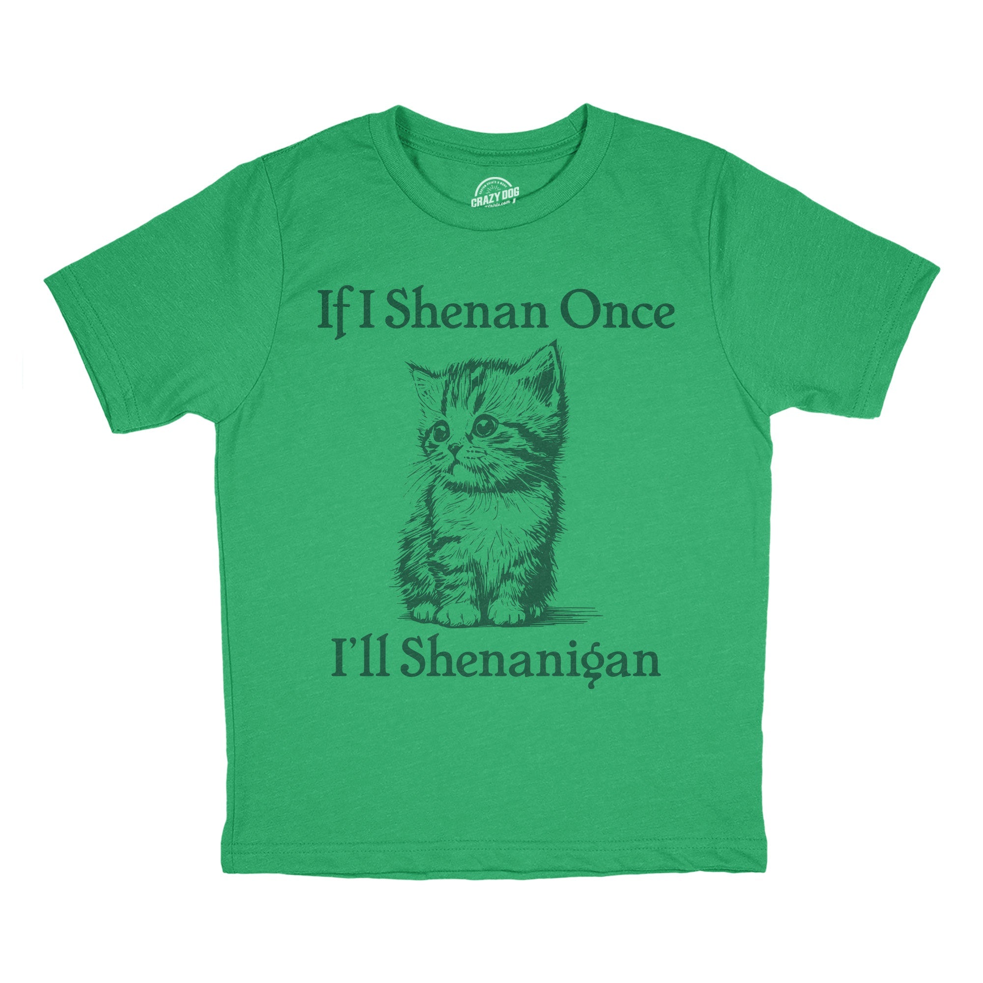 If I Shenan Once Ill Shenangian Youth T Shirt