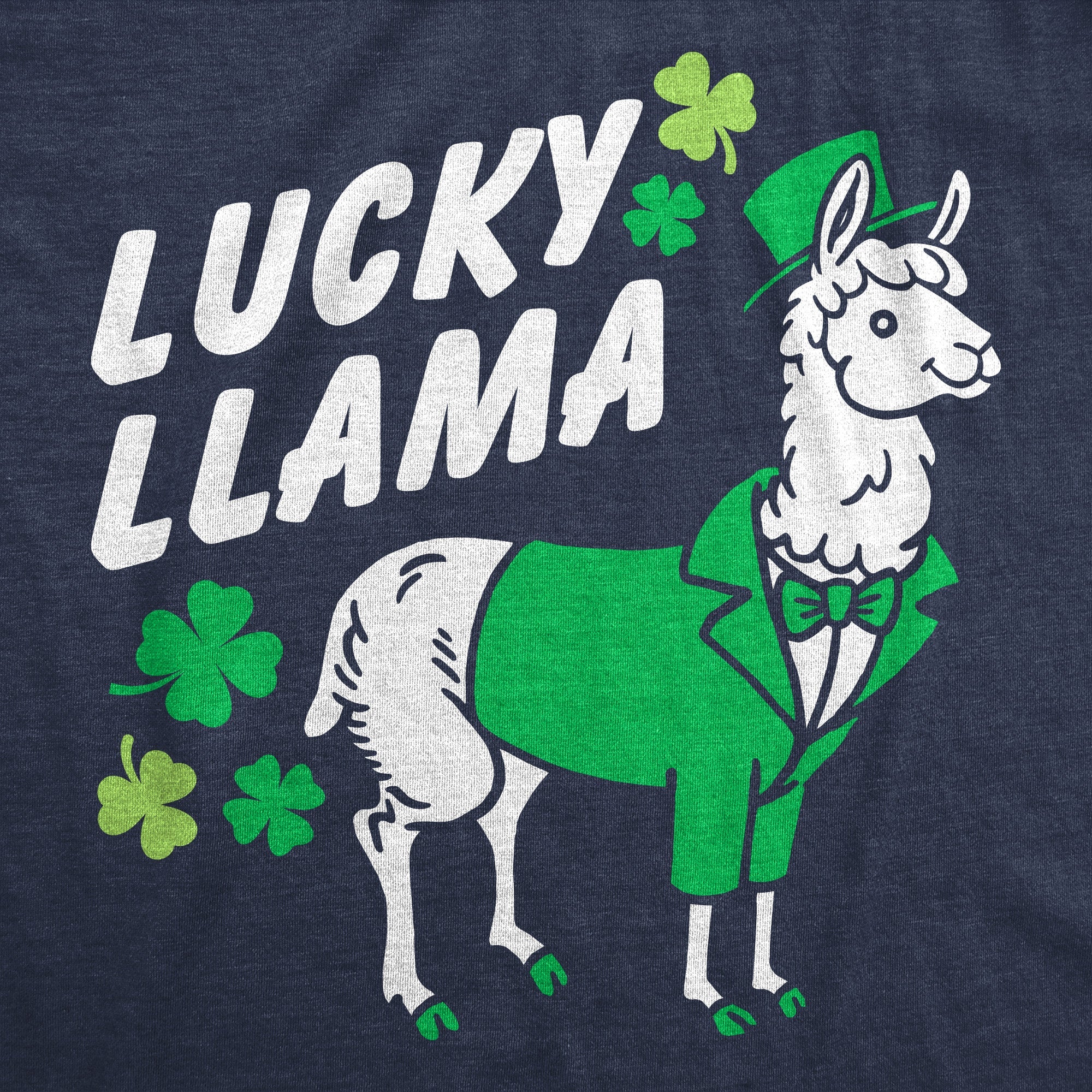Lucky Llama Women's T Shirt