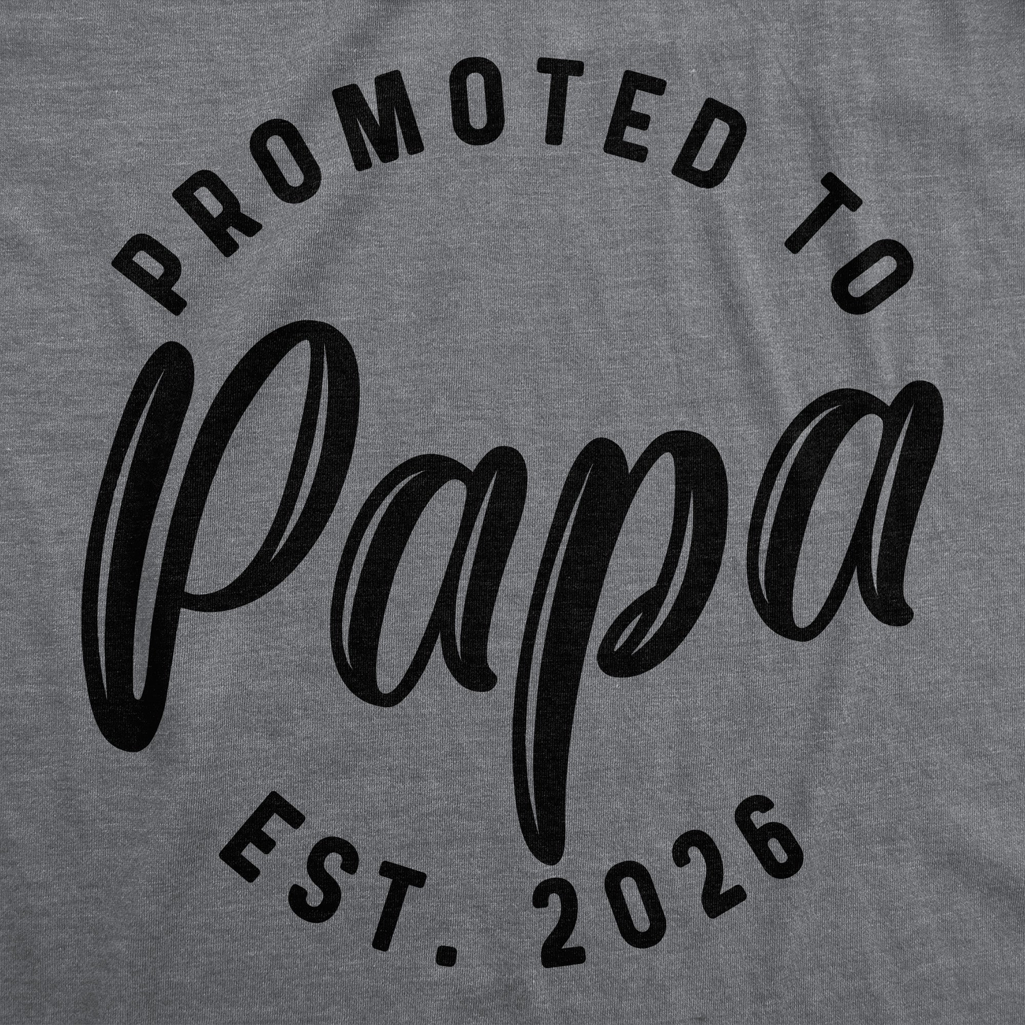 Promoted To Papa 2026 Men's T Shirt