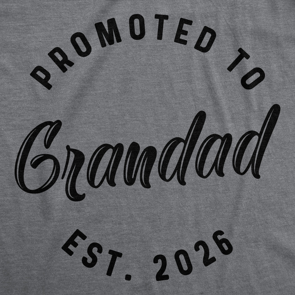 Promoted To Grandad 2026 Men's T Shirt