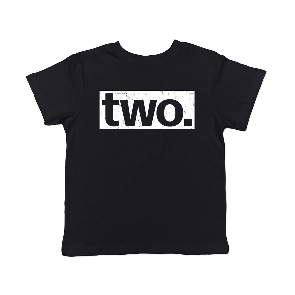 Two Birthday Toddler T Shirt