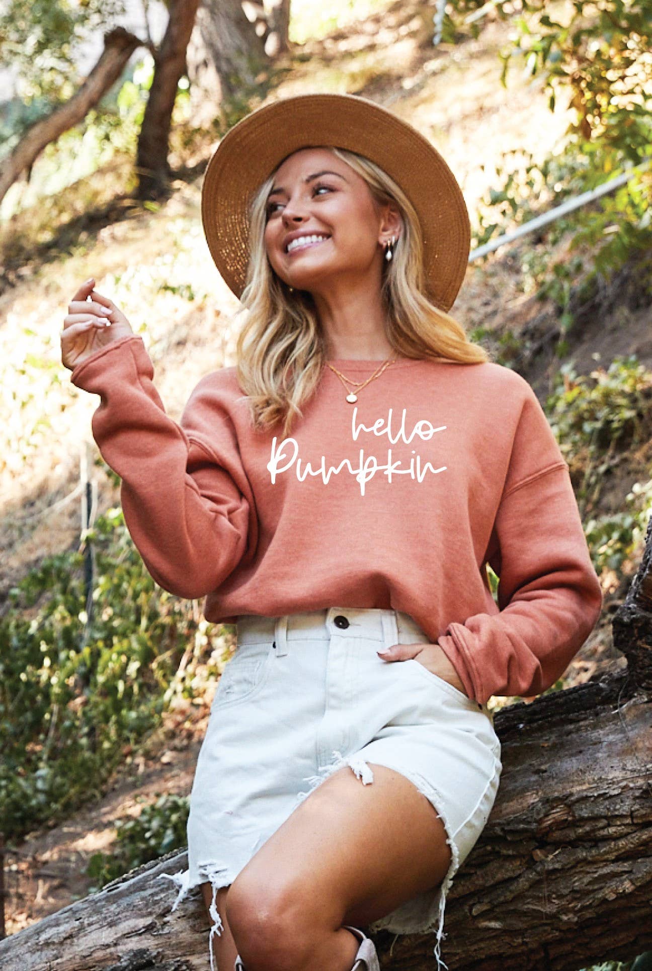 Hello Pumpkin Graphic Sweatshirt T-Shirts, Hoodie | PodTeesHub.com