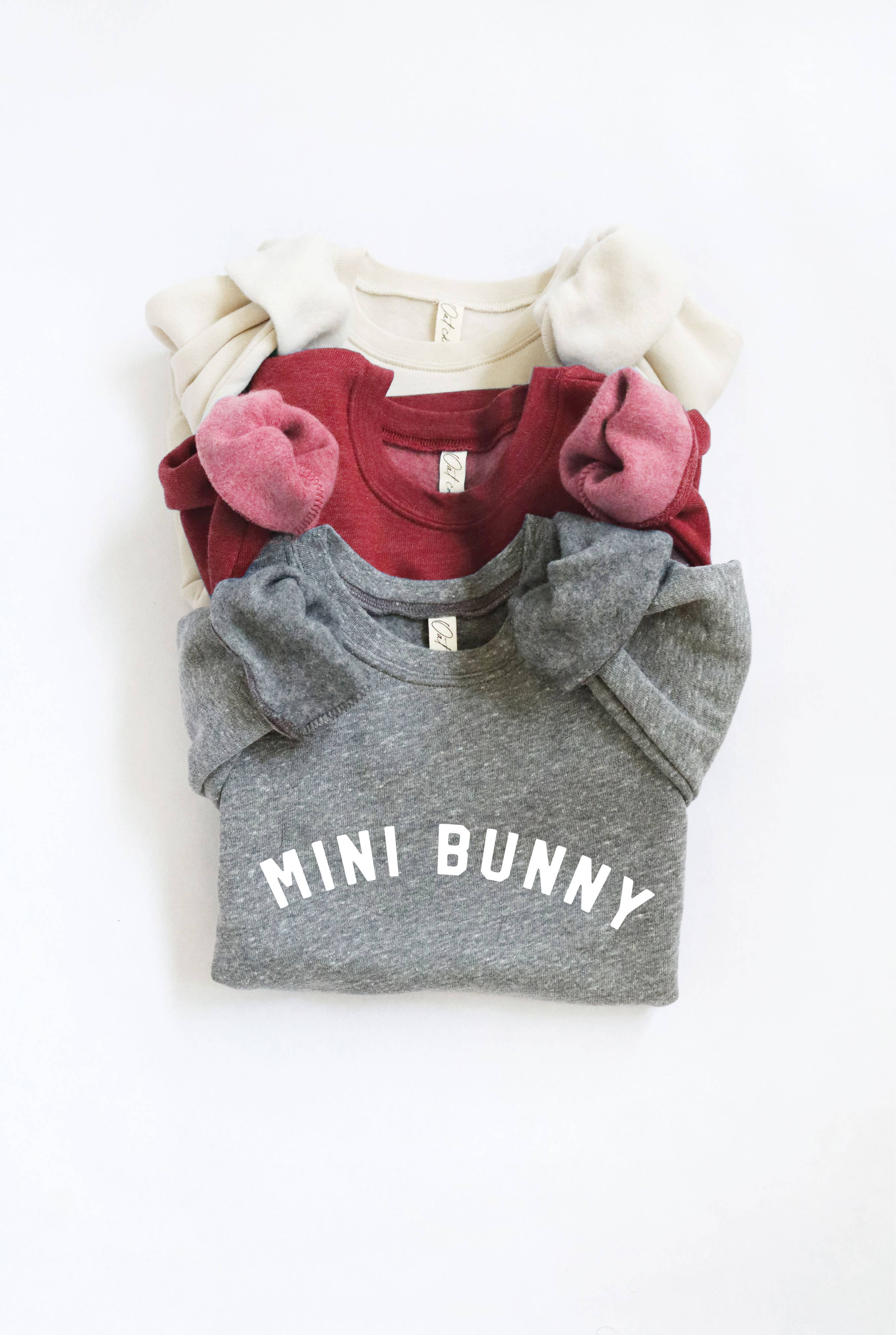 Mini Bunny  Toddler Graphic Sweatshirt T-Shirts, Hoodie | PodTeesHub.com